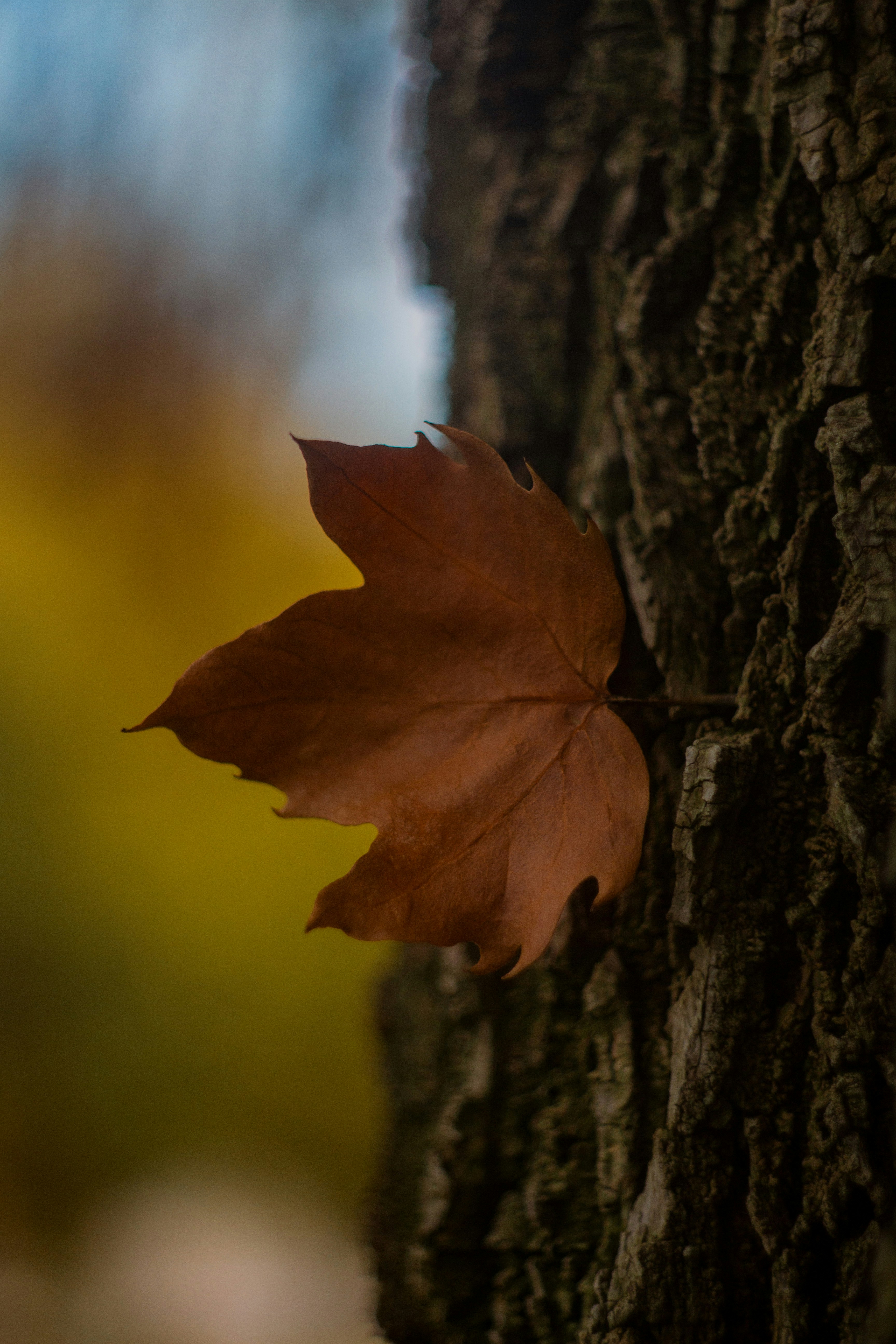 Photo by emmanuelphaeton