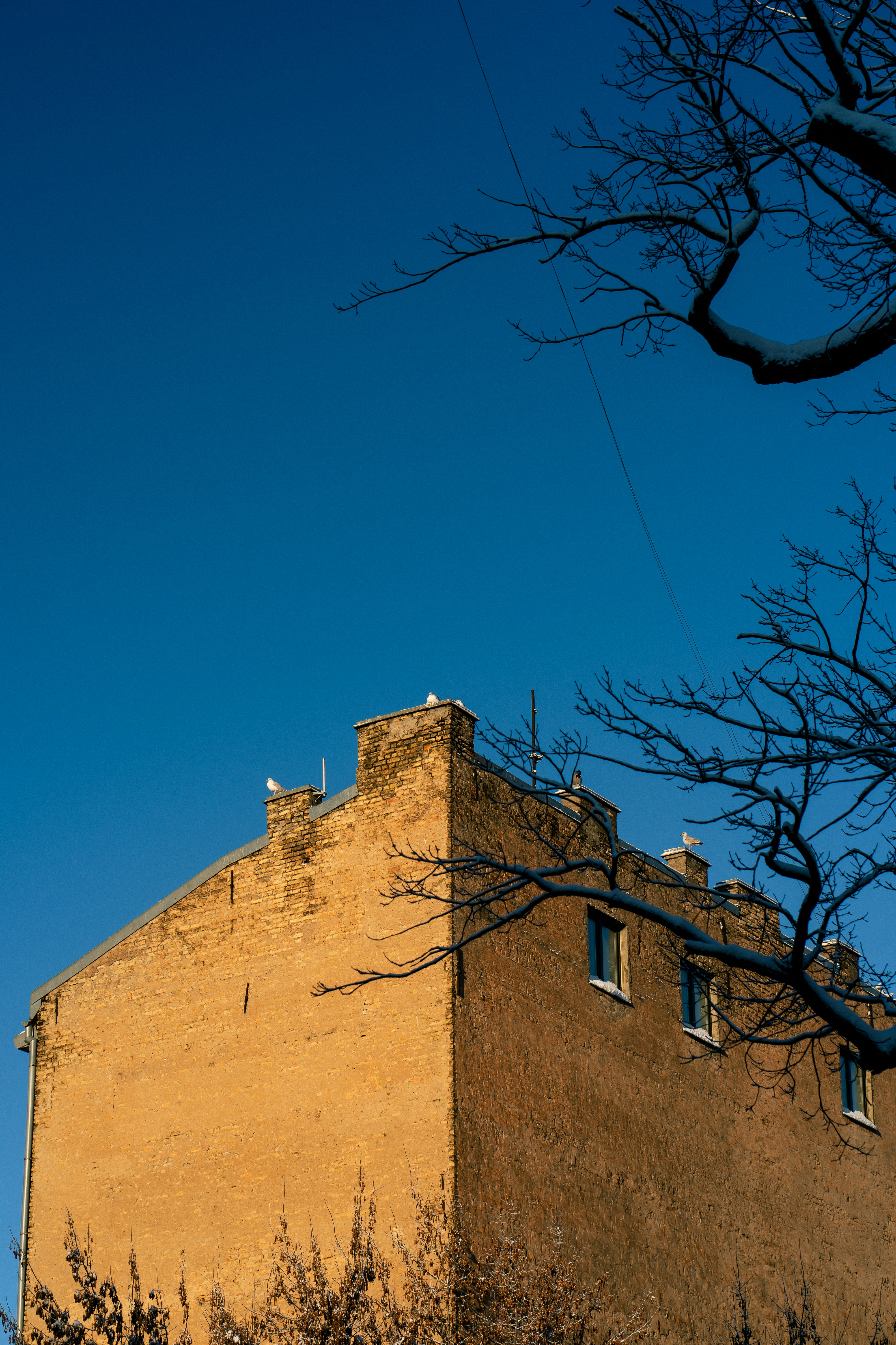 Photo by skvaad