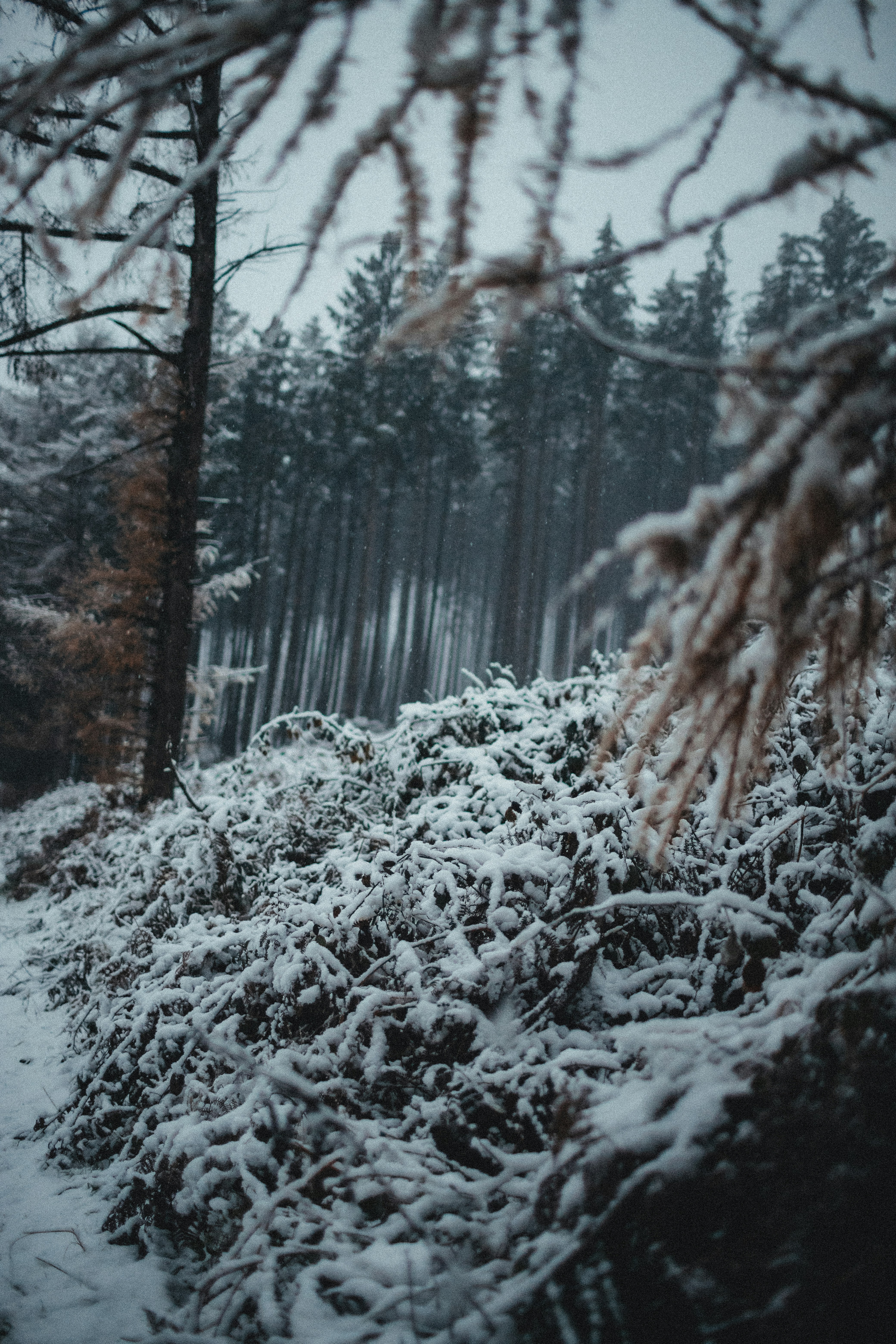 Photo by annaacurcan