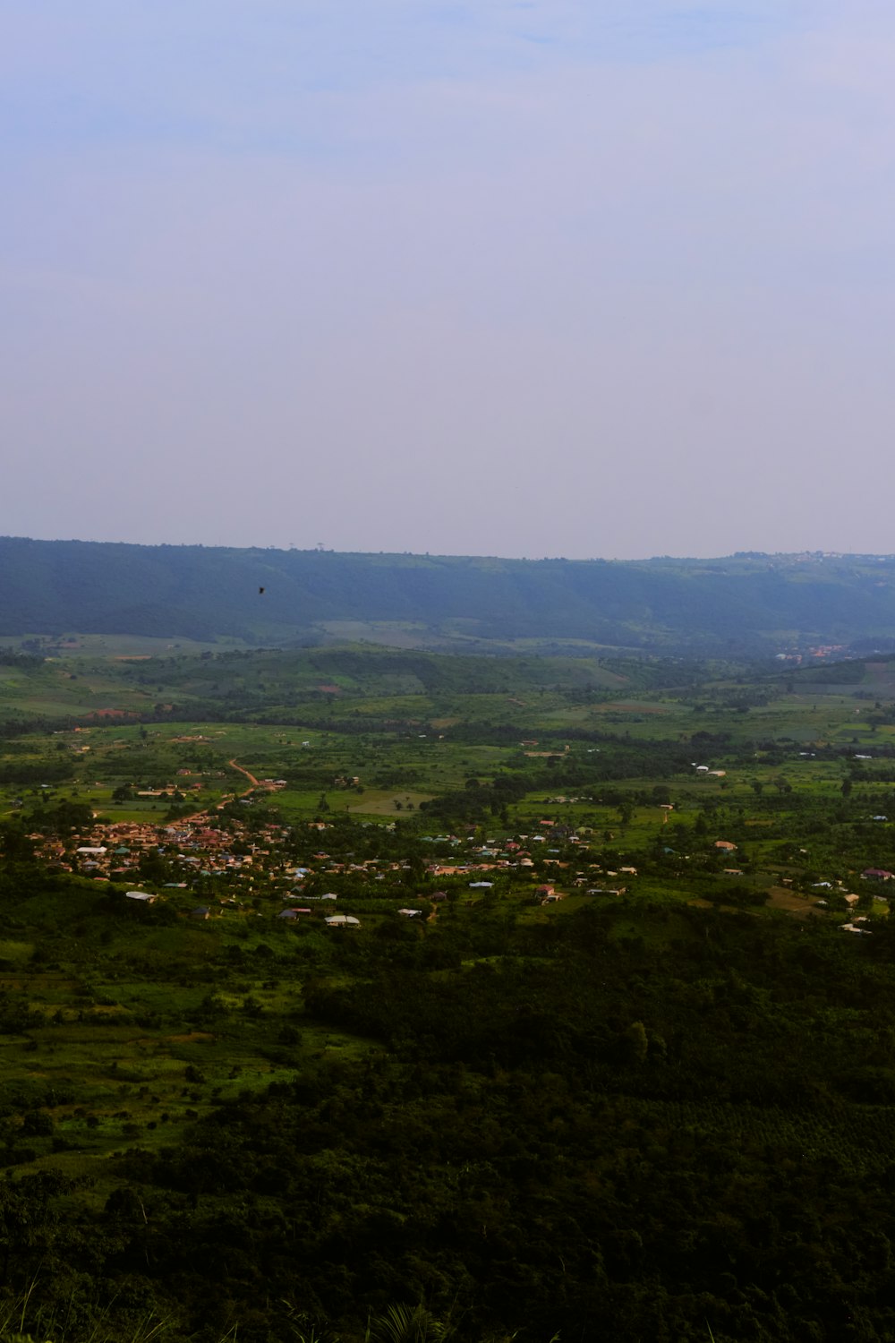 a landscape with trees and hills