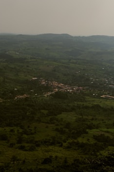 a landscape with trees and a body of water in the distance
