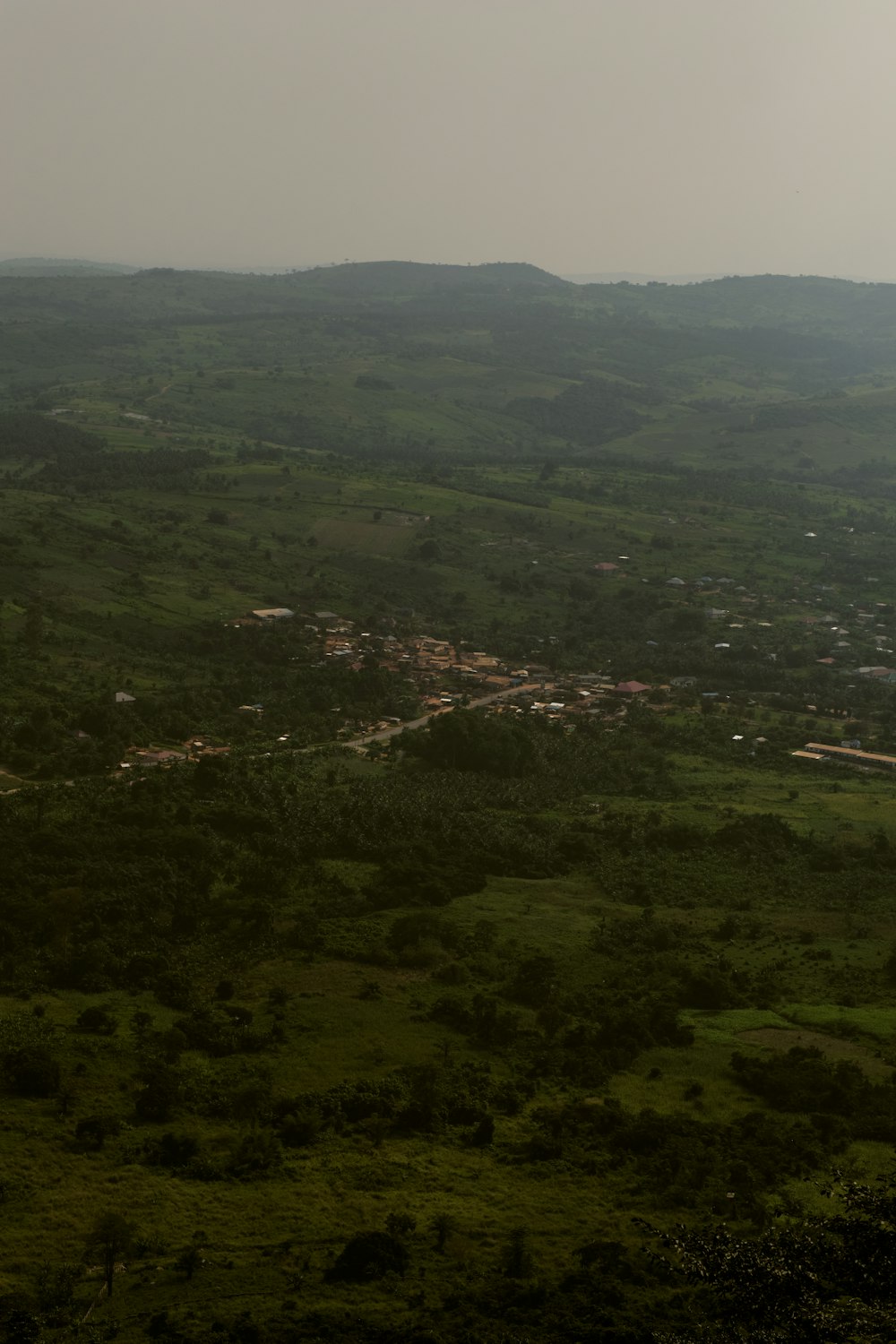 a landscape with trees and a body of water in the distance