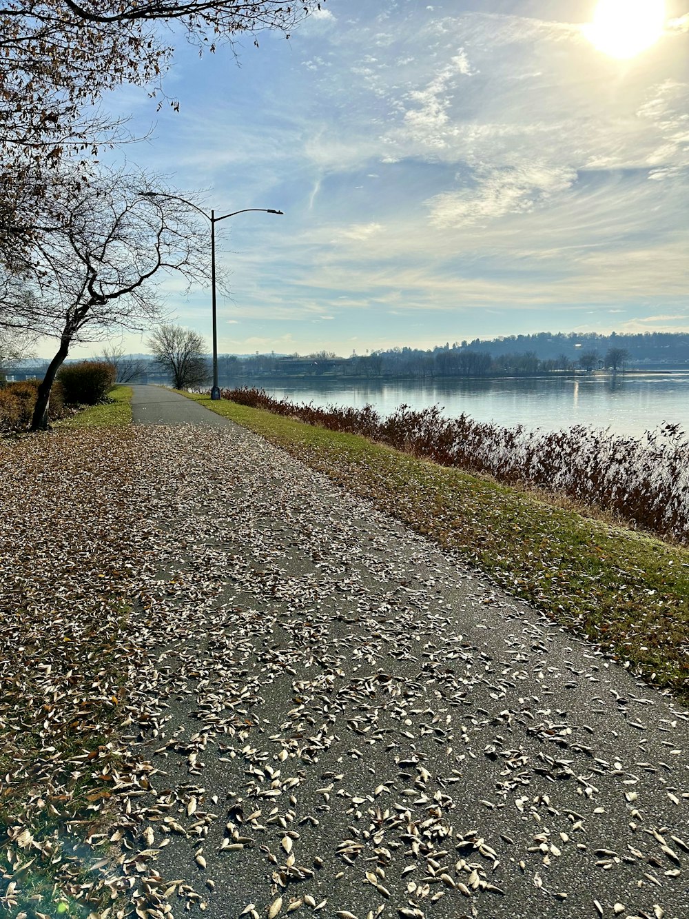 a path next to a body of water on a sunny day