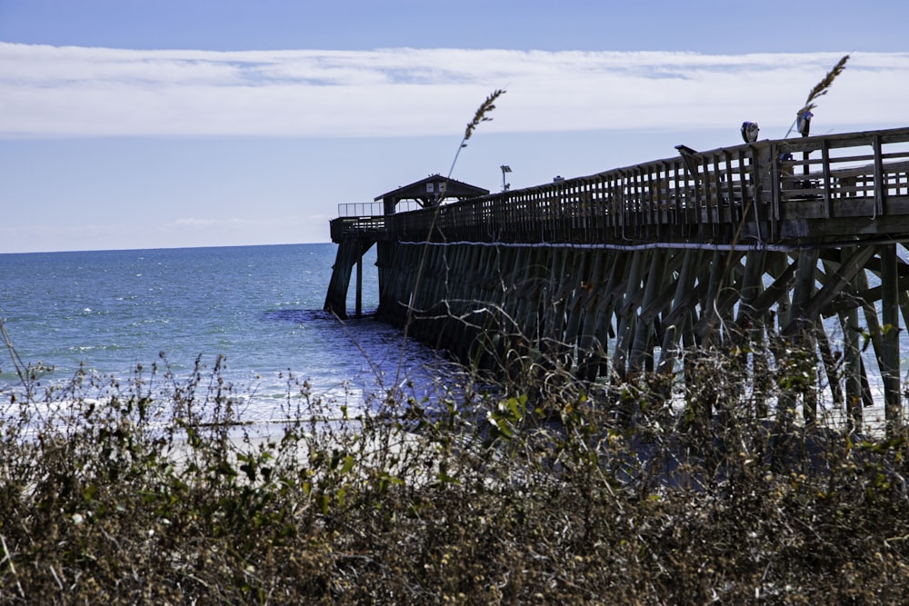 a pier on a beach with a body of water in the background