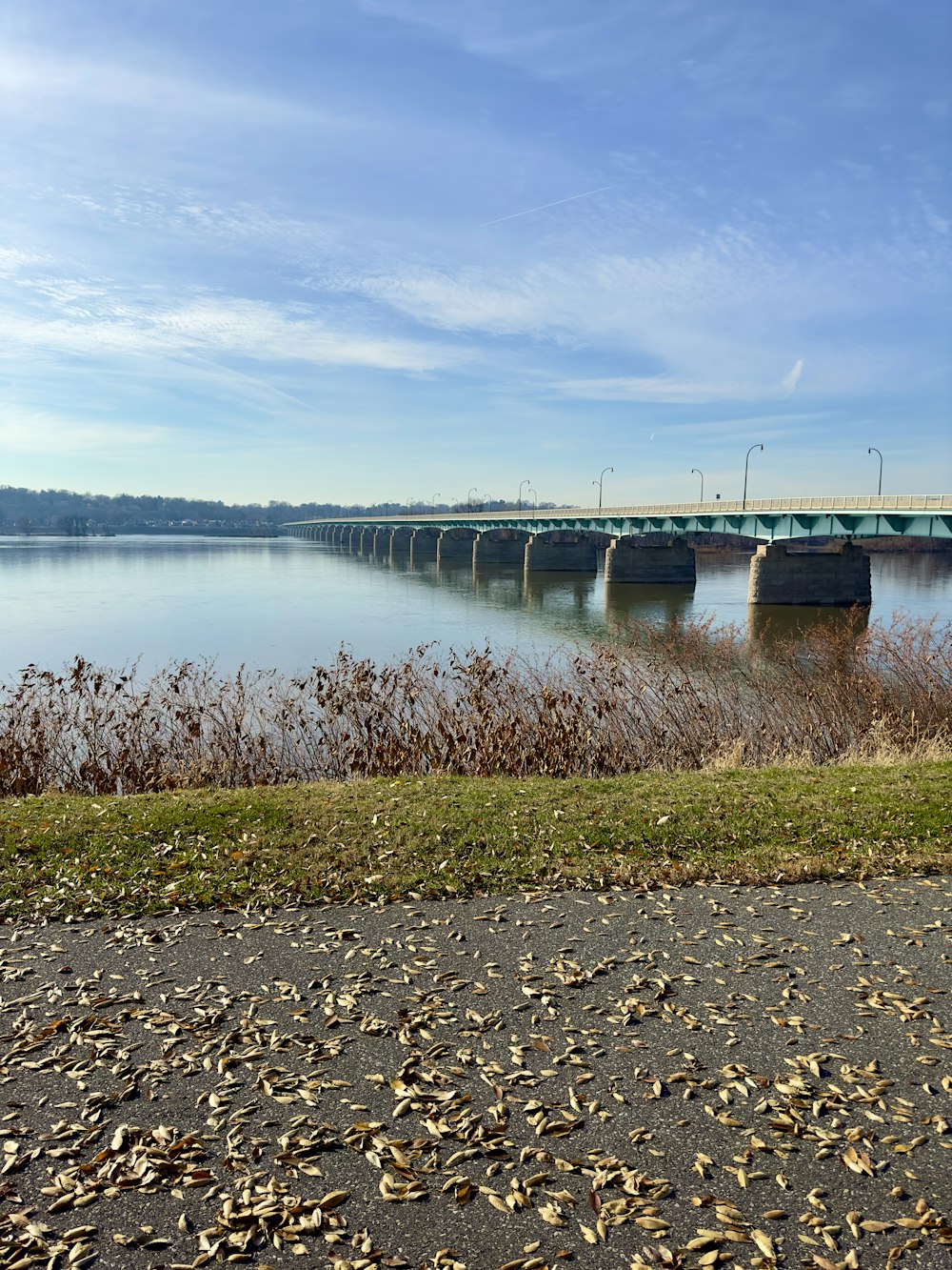 a large body of water with a bridge in the background