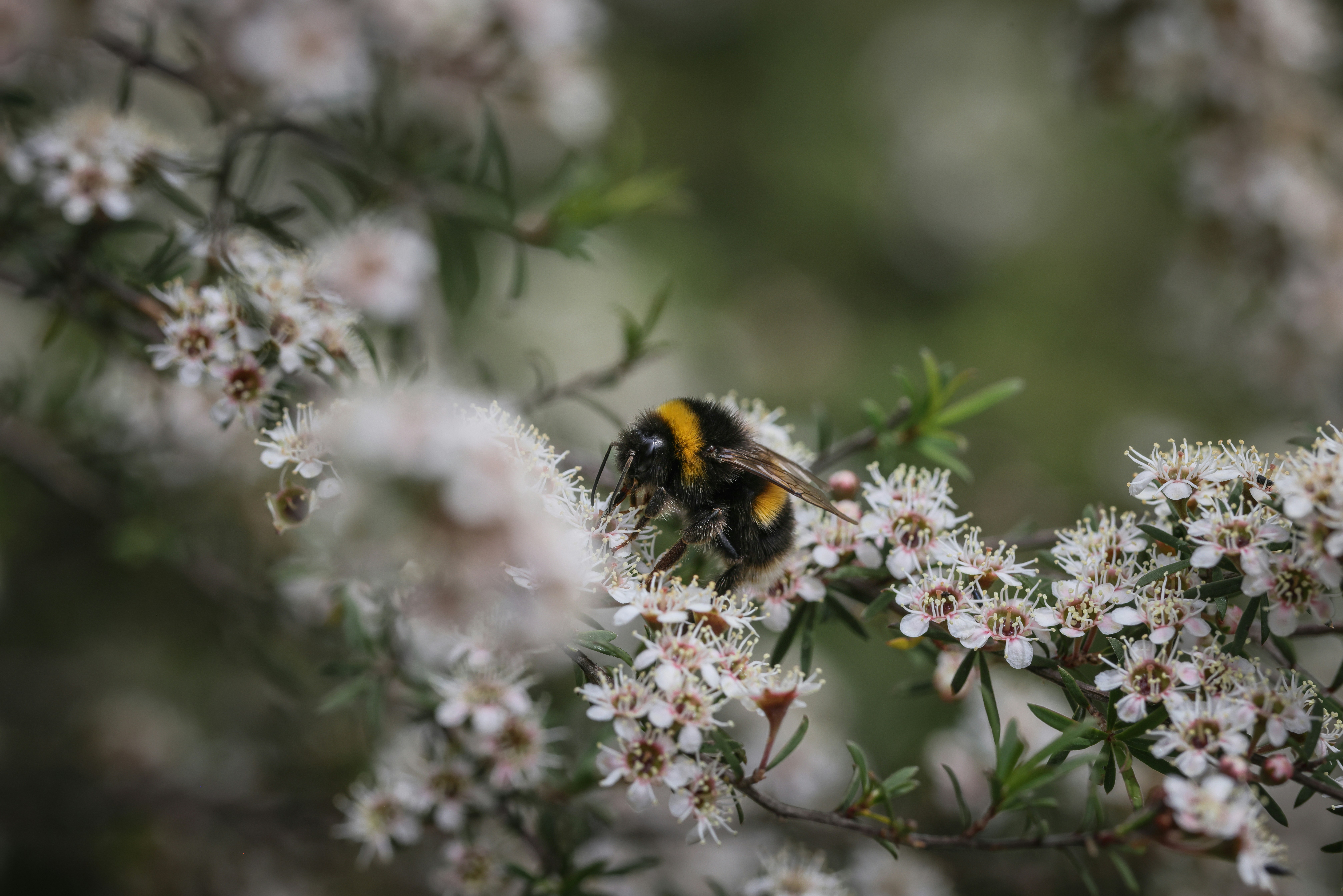 Photo by tonystoddard