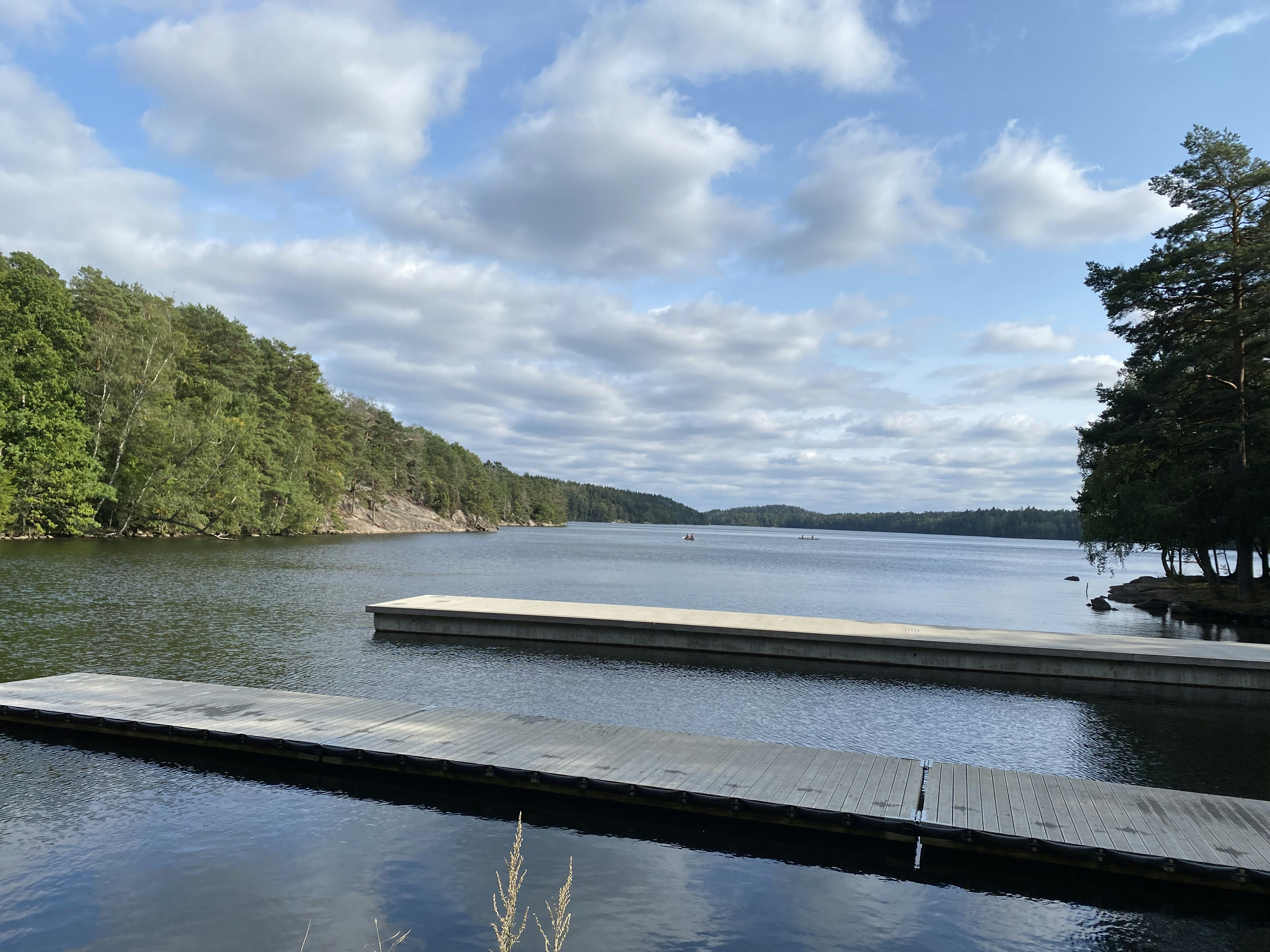 a large body of water surrounded by trees