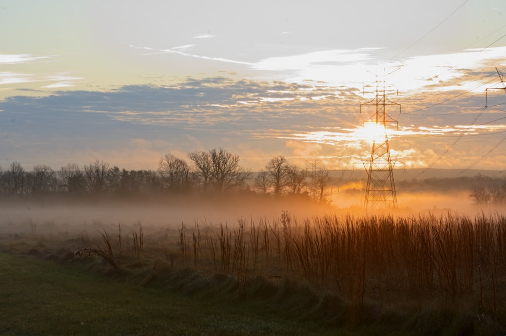 a foggy field with a telephone pole in the distance