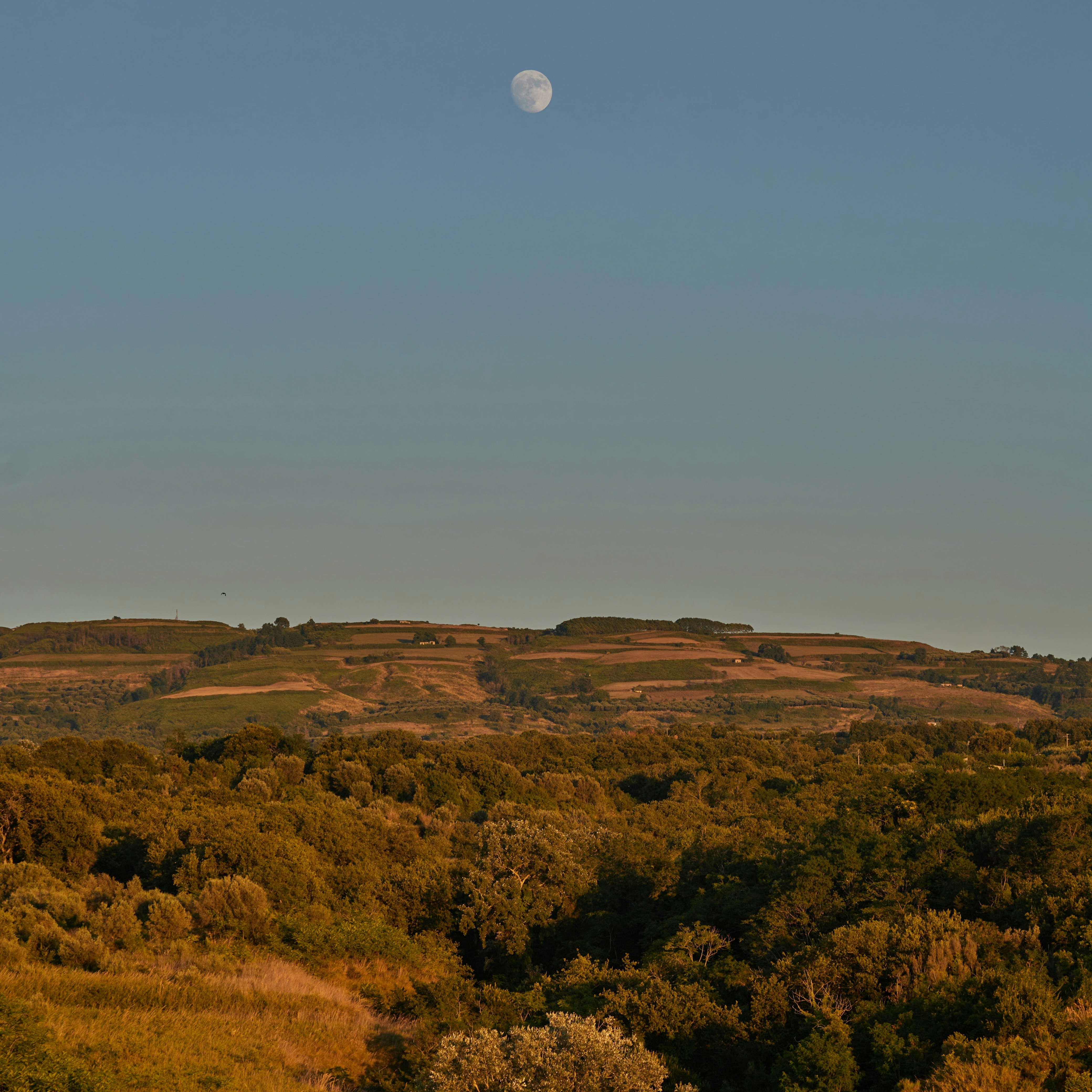 photo 1670619575046 373870fac89e?crop=entropy&cs=tinysrgb&fit=max&fm=jpg&ixid=M3w3NDEzNTd8MHwxfHNlYXJjaHw5fHxsYW5kc2NhcGV8ZW58MXwyfHx8MTc1NjQ3ODk2MXww&ixlib=rb 4.1 Vietadvisor