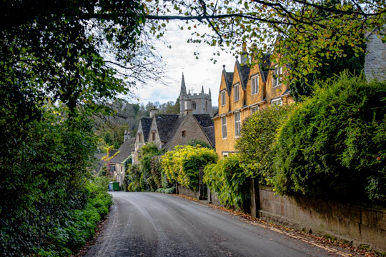a street lined with trees and houses next to a forest