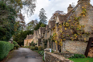 a street lined with stone buildings next to a lush green forest
