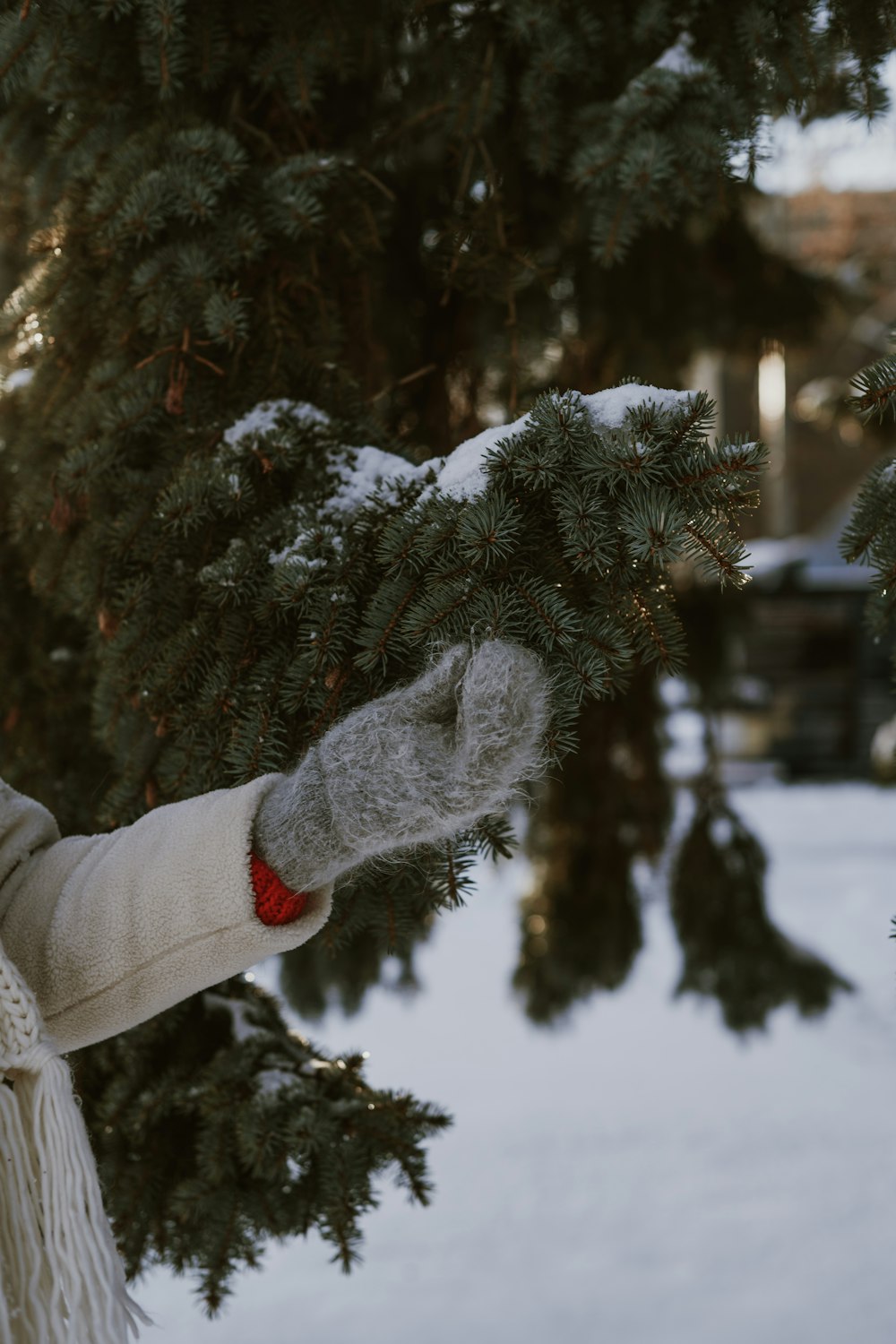 a person wearing a scarf and mittens holding a pine tree