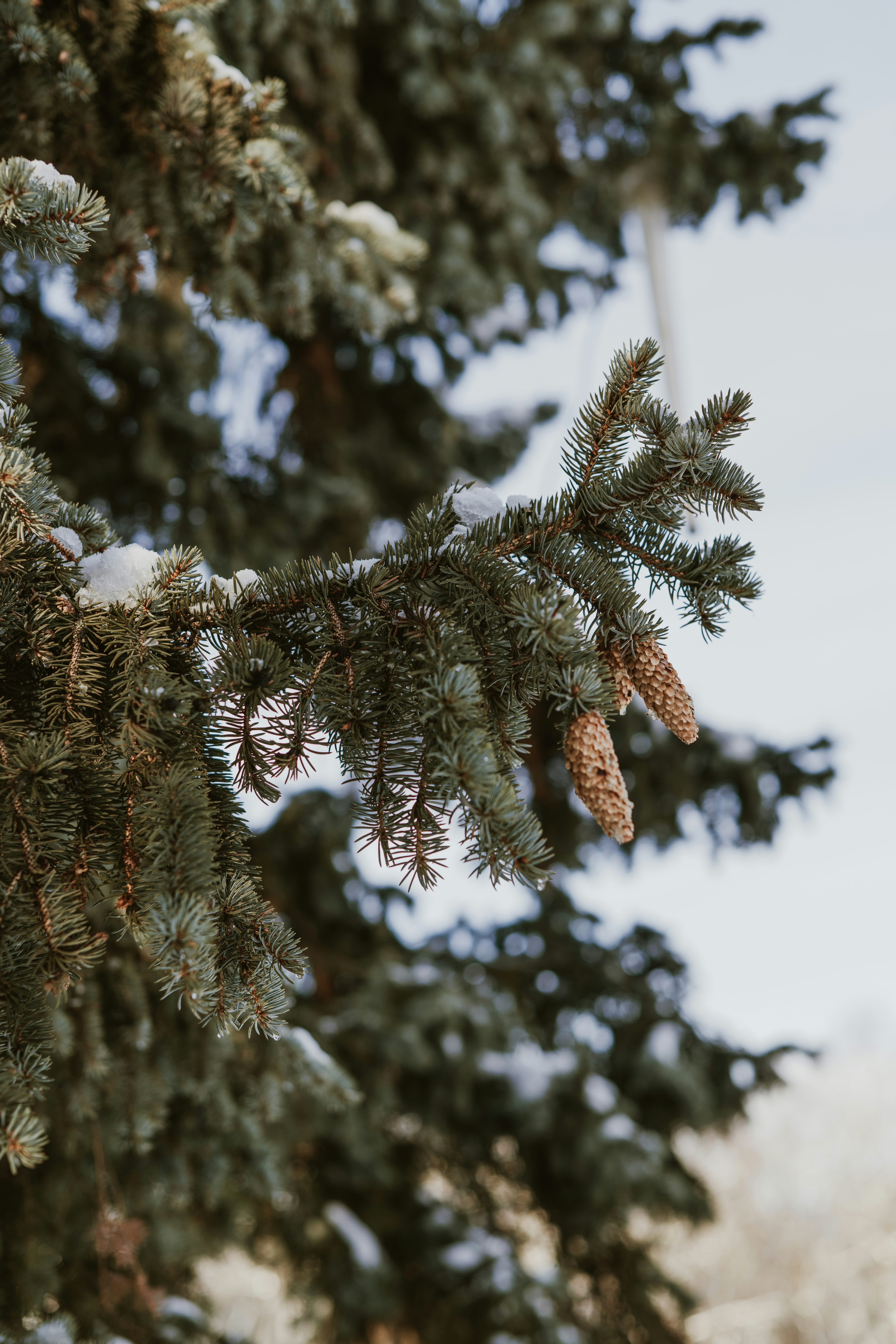 Photo by anitaaustvika