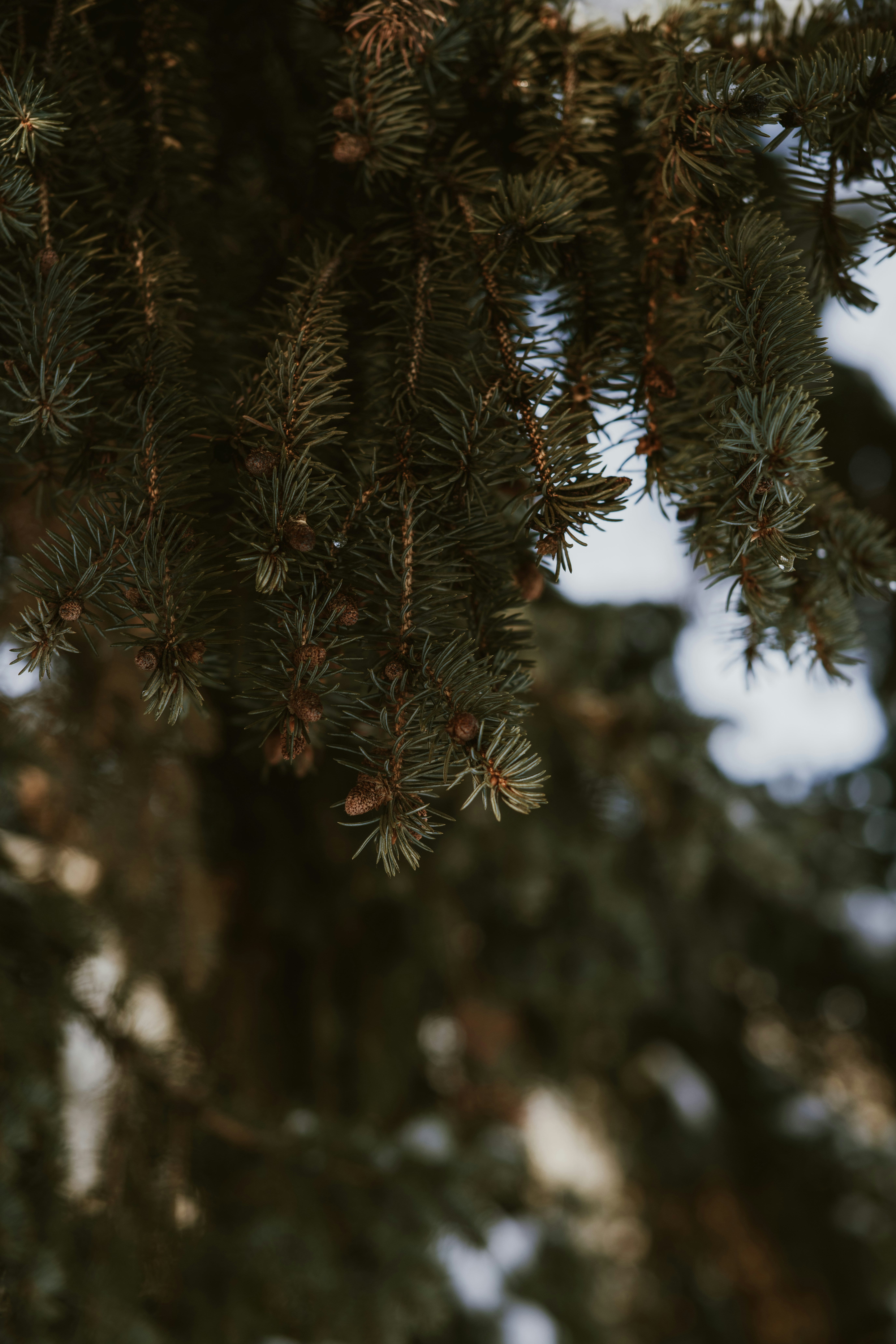 Photo by anitaaustvika