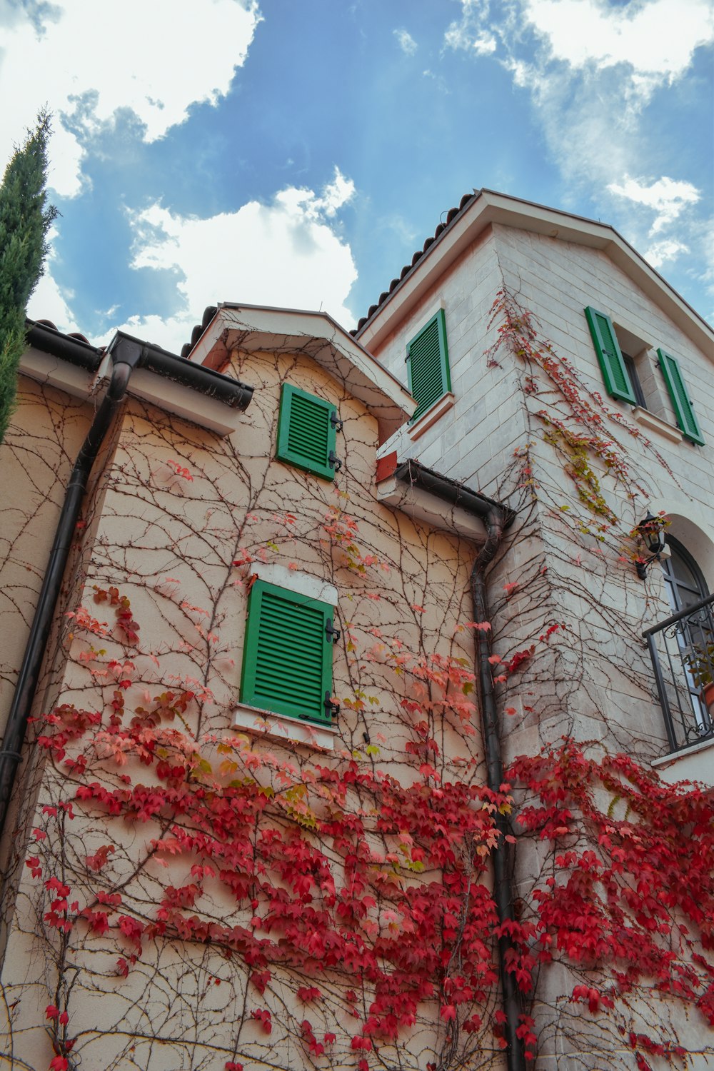 a building with green shutters and vines on it