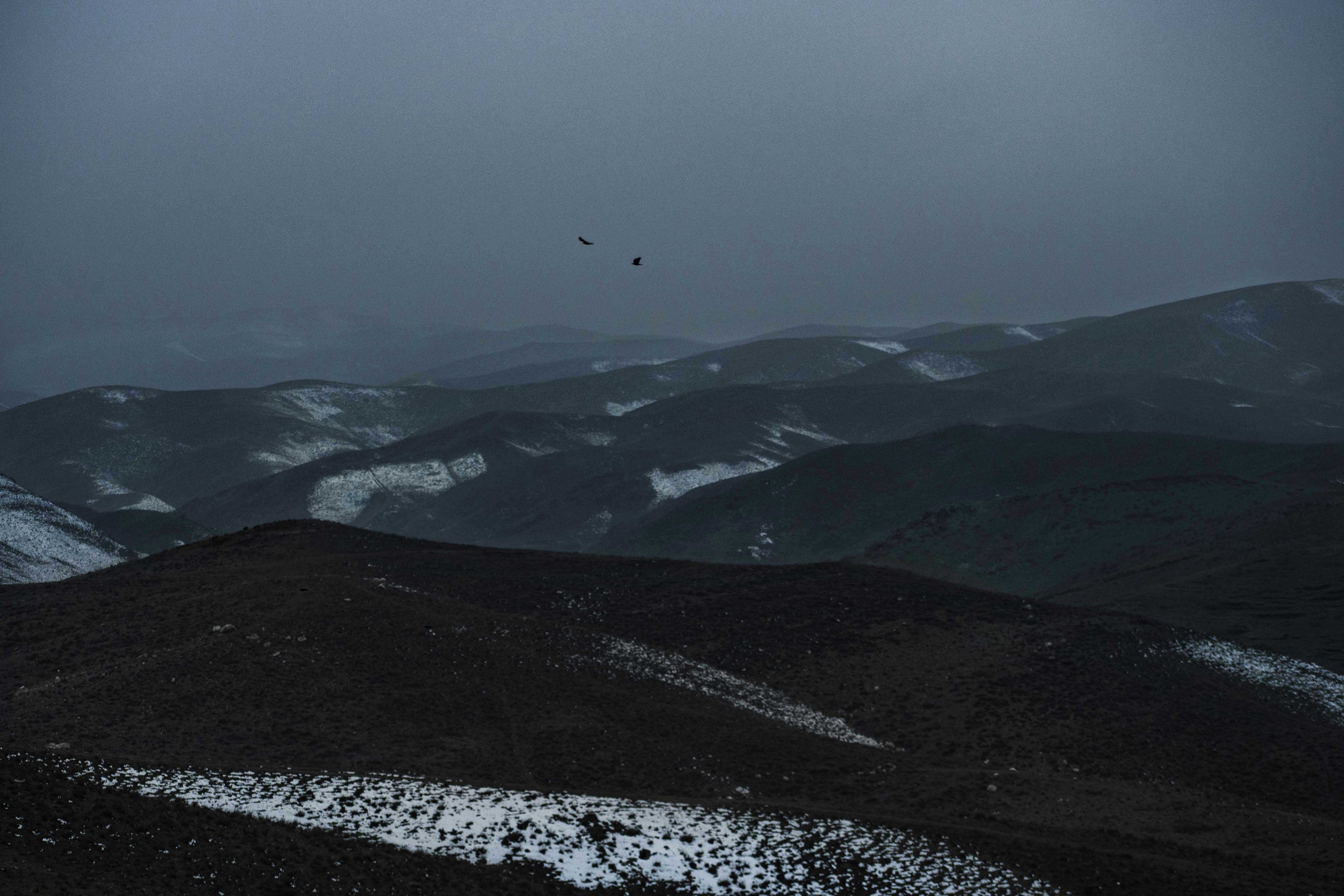 Photo by s_ahmadreza_p