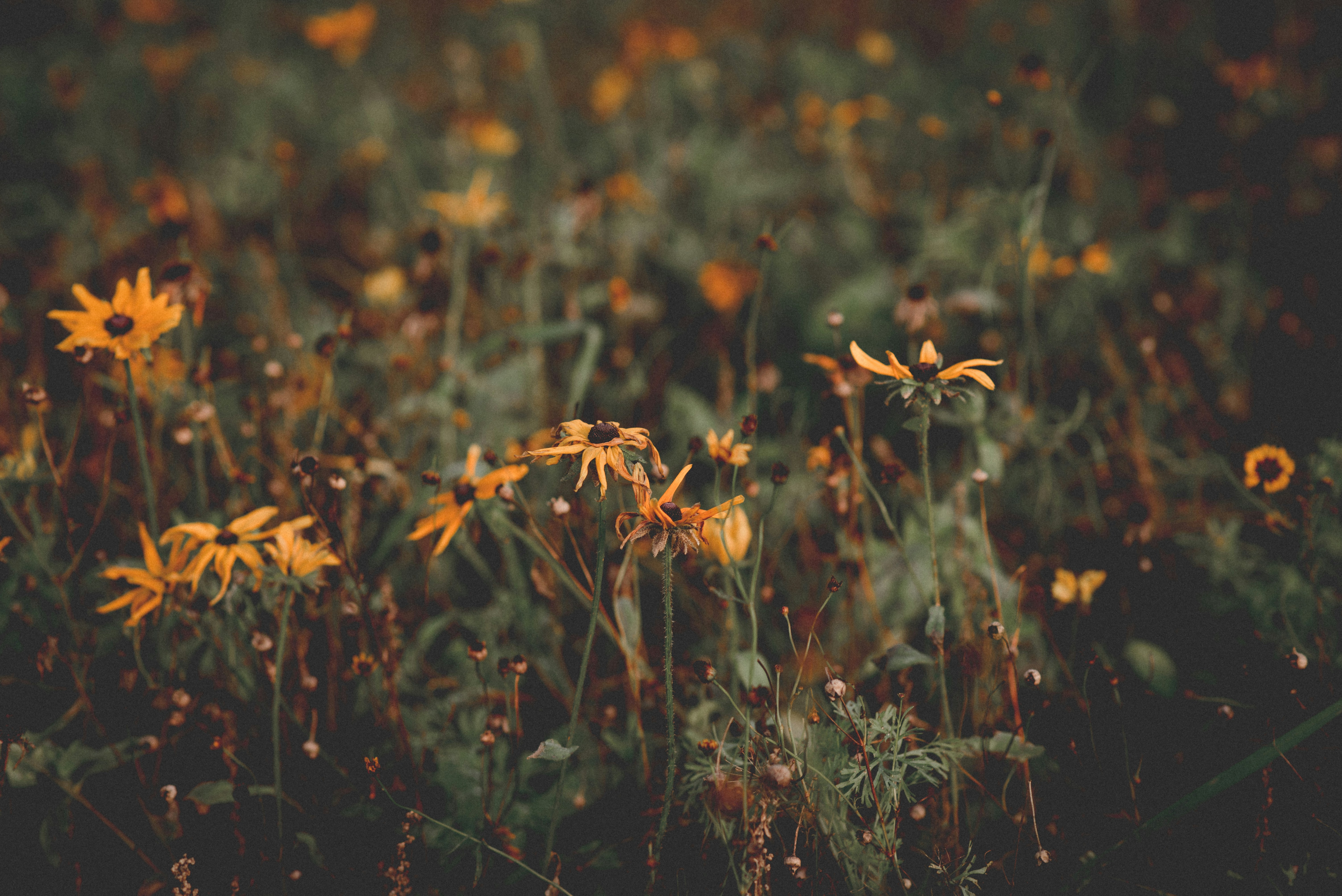 Photo by ellyendeavours