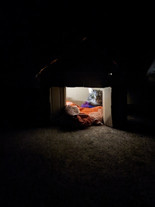 A cat is nestled inside a small cardboard house with a cozy atmosphere. Dim lighting illuminates the inside, highlighting the cat's face and the colorful blankets it is resting on.