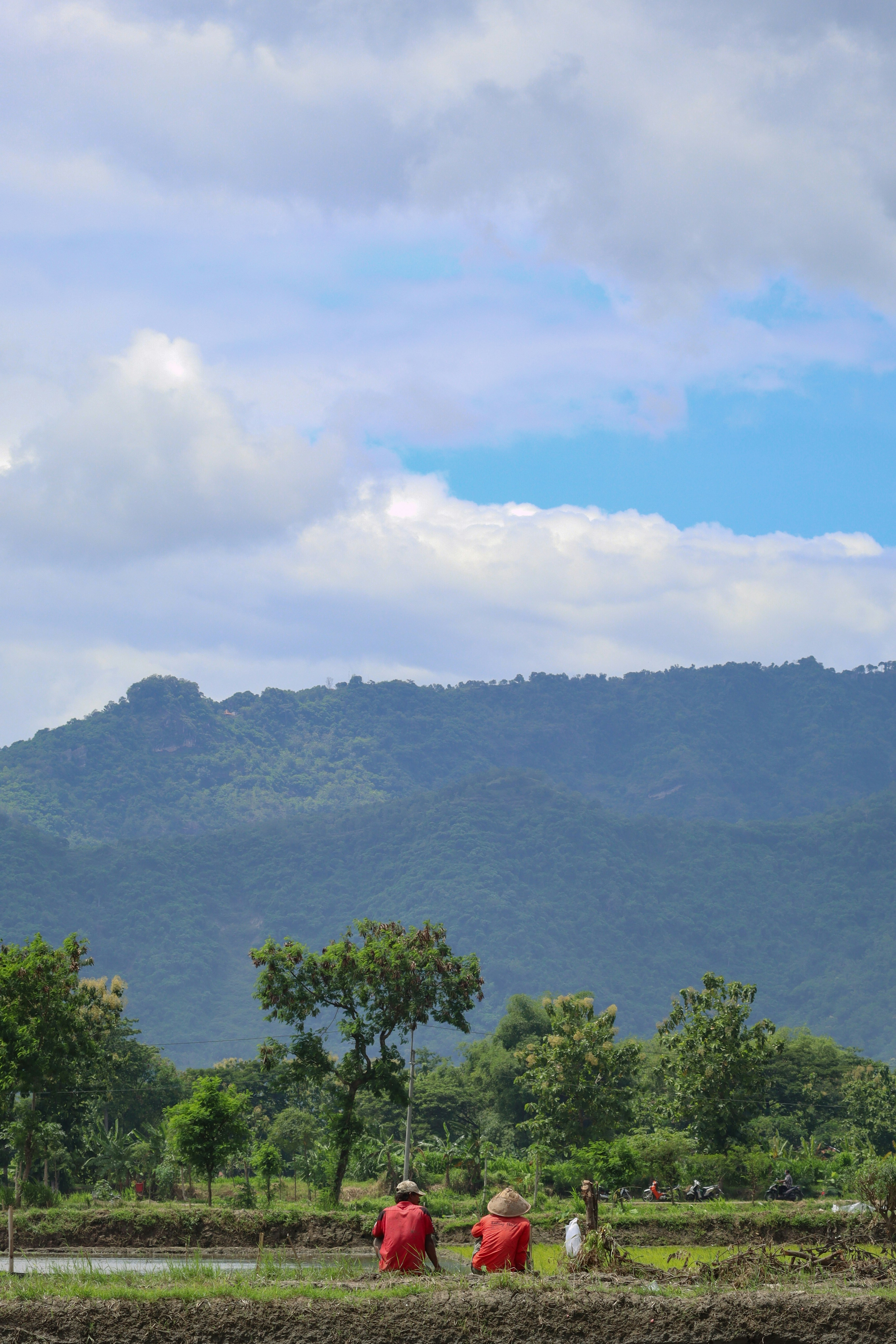 Photo by satriawardhana