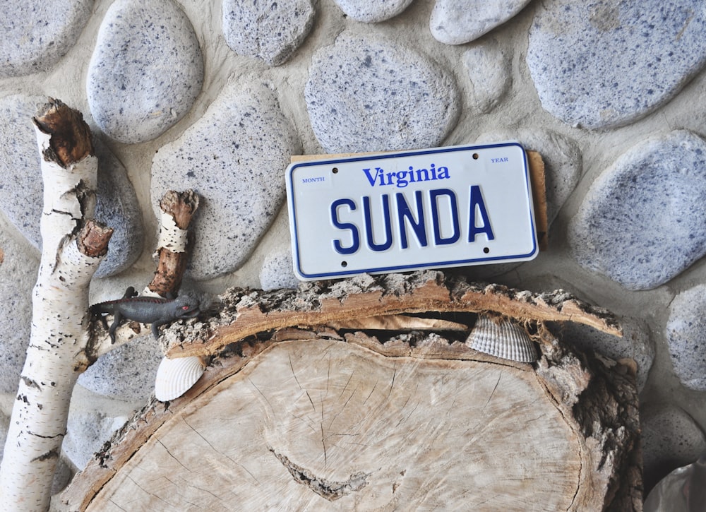 a blue and white license plate sitting on top of a tree stump