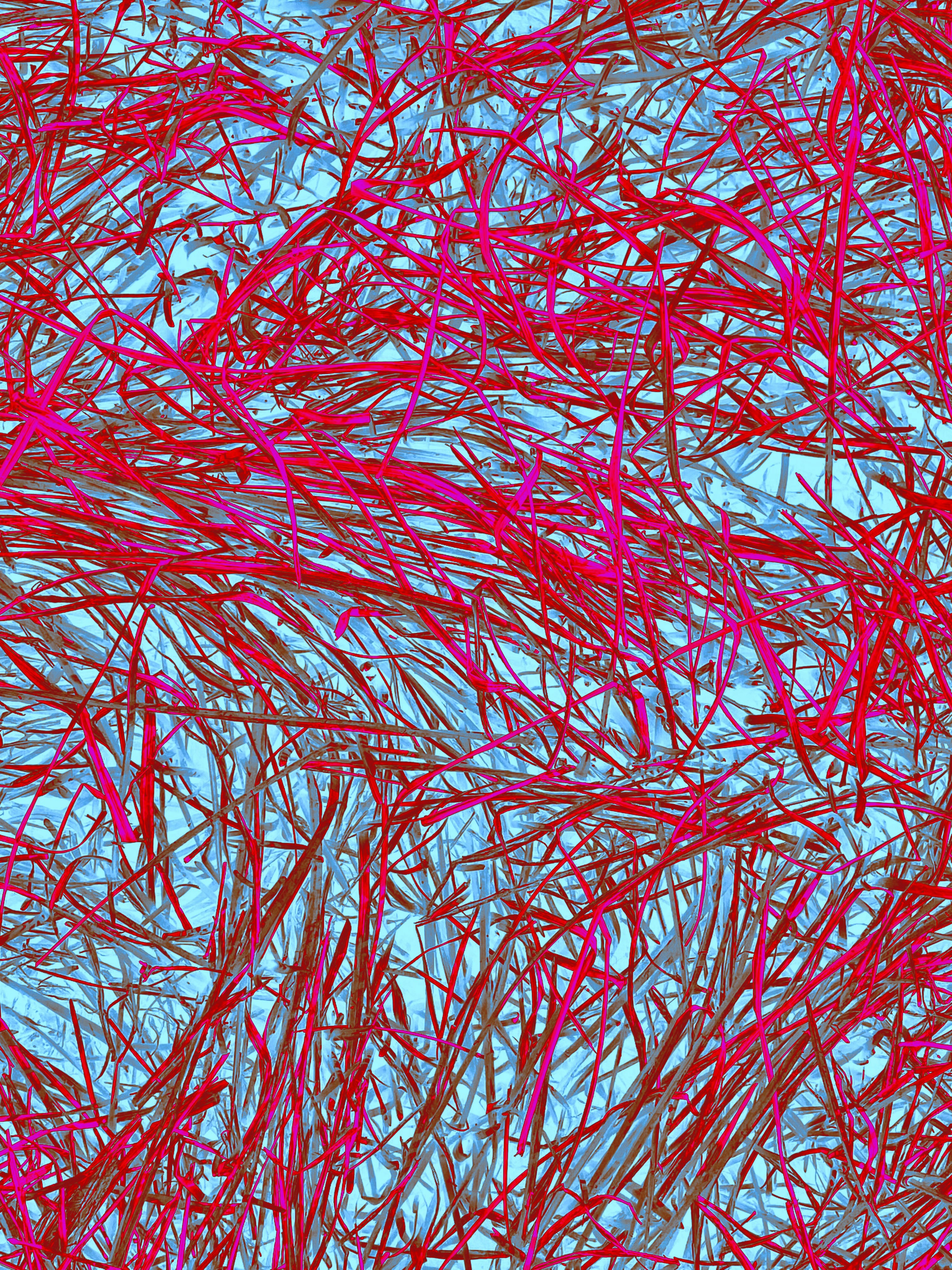 a blue and red background with red lines