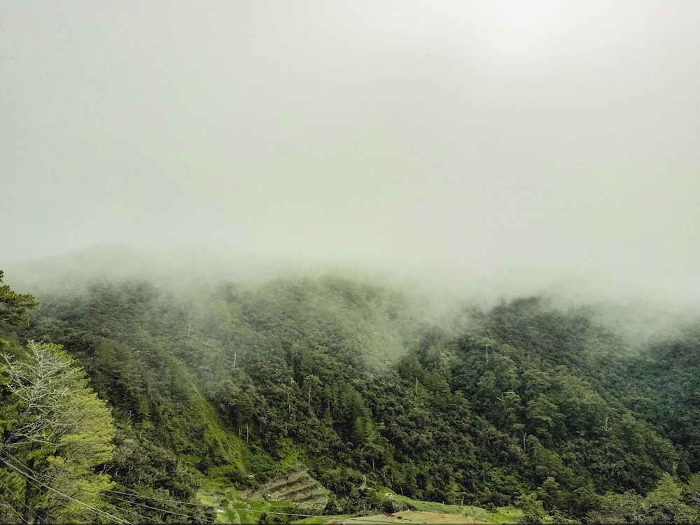 a mountain covered in fog and low lying clouds