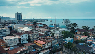 An aerial view of the Oman coastline where tradition meets modern trade routes.