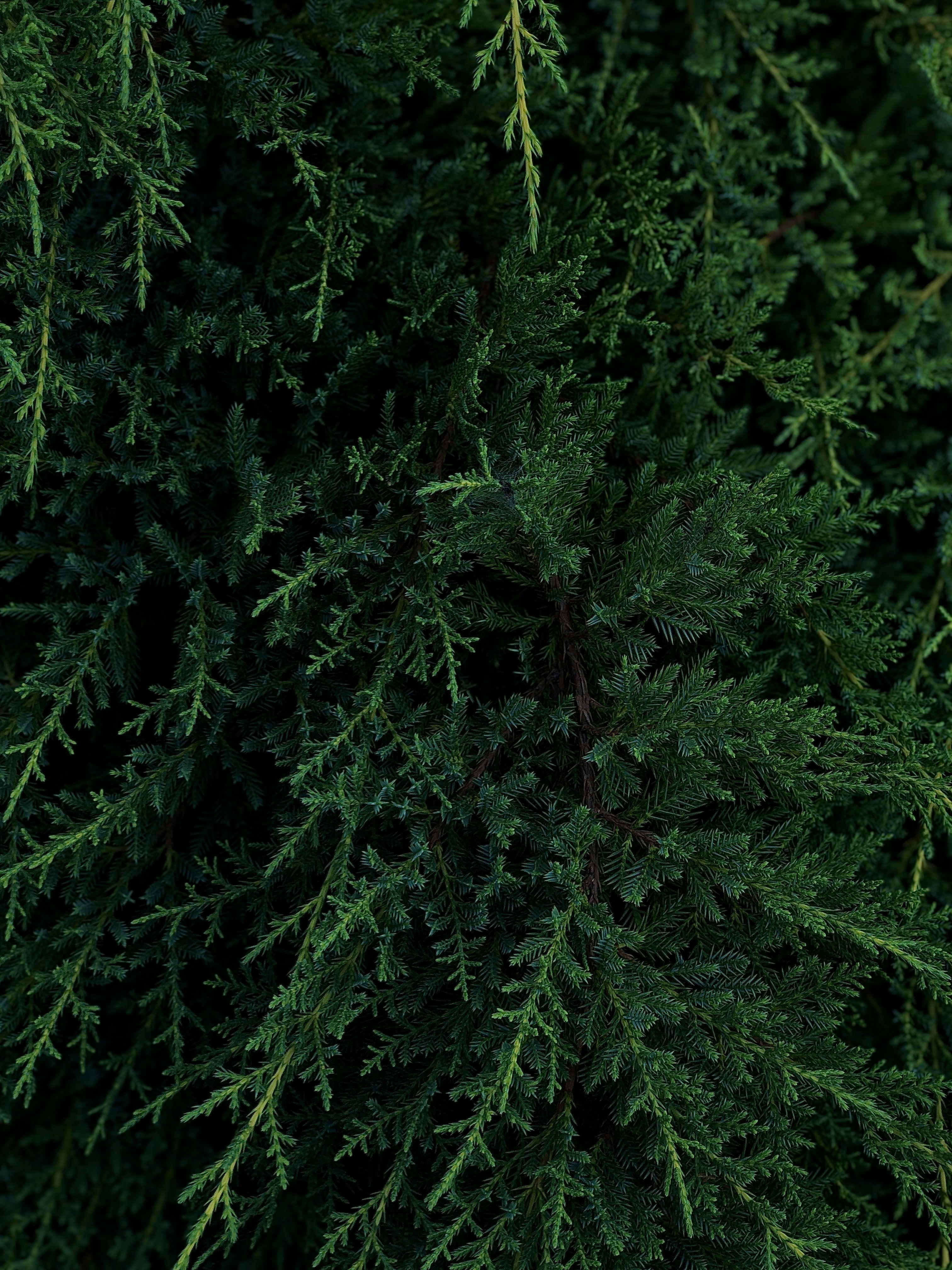 Photo by alexandradieva