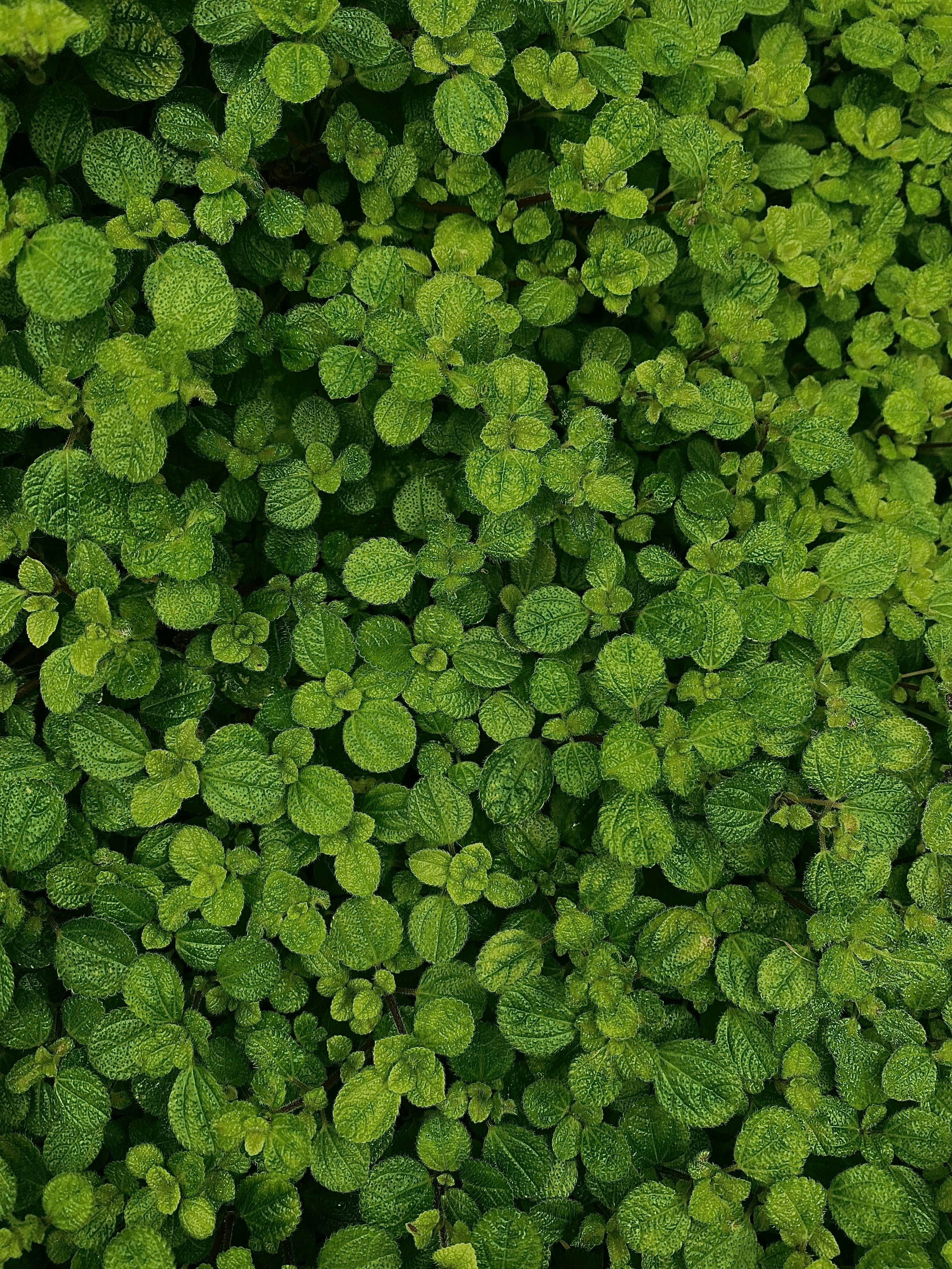 Photo by alexandradieva