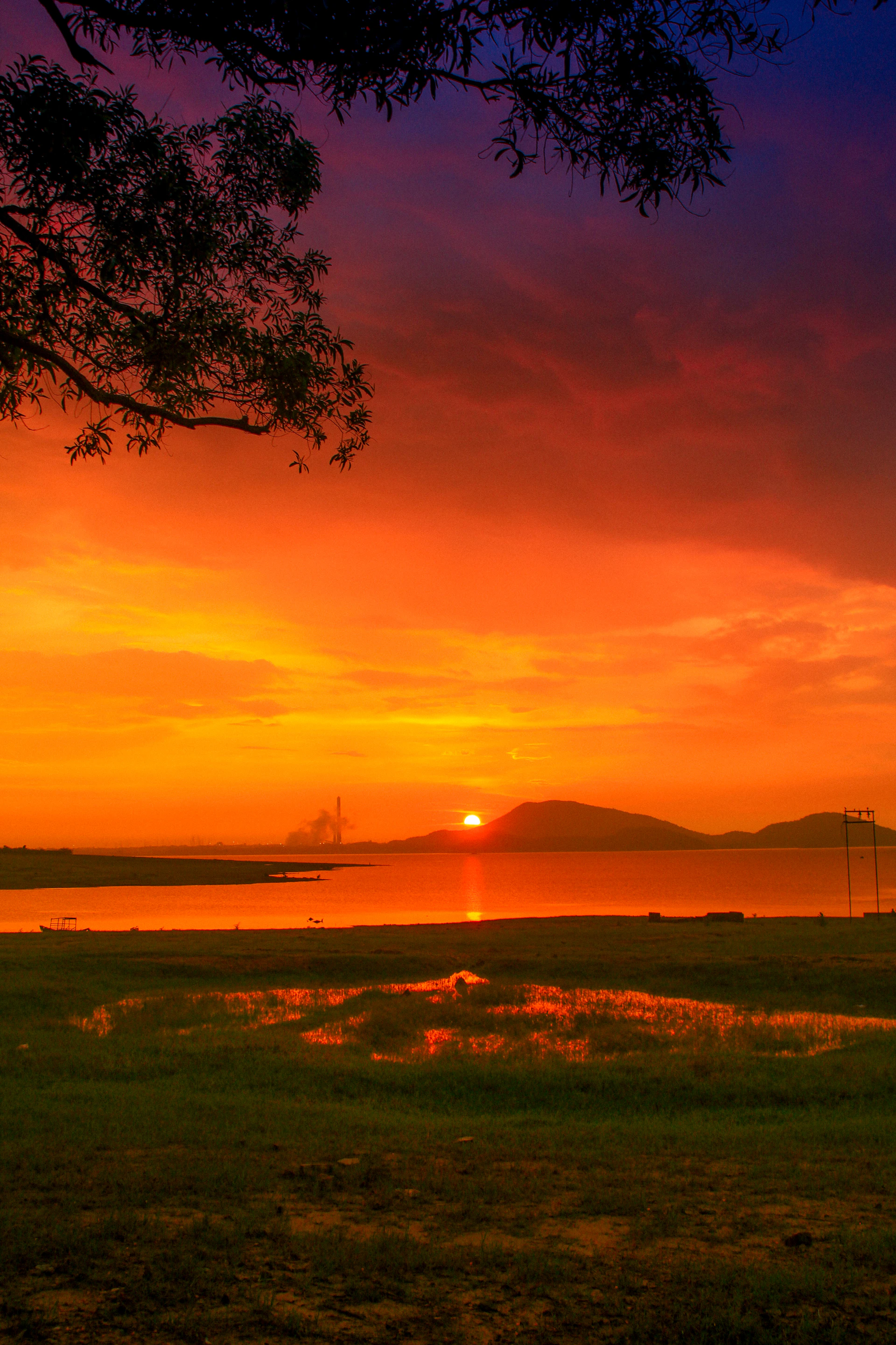 A vibrant sunset over a misty lake, with golden light reflecting softly on the water's surface.