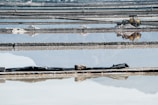Expansive salt evaporation ponds with a series of rectangular pools reflecting the sky, some with heaps of salt piled up. A yellow industrial vehicle, possibly a backhoe, is present on the right side, adding an industrial element to the scene.