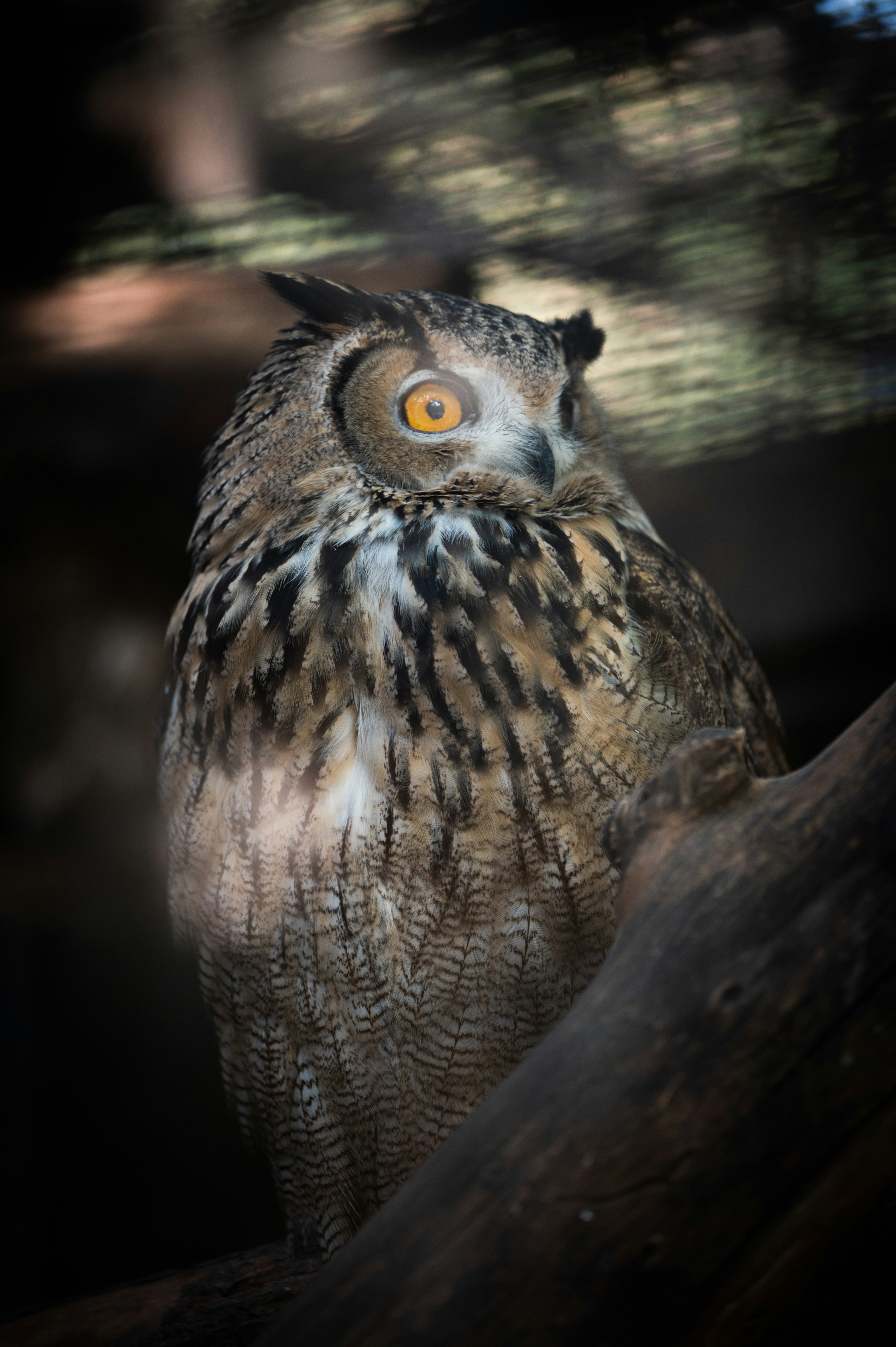 Photo by tianhao_wang