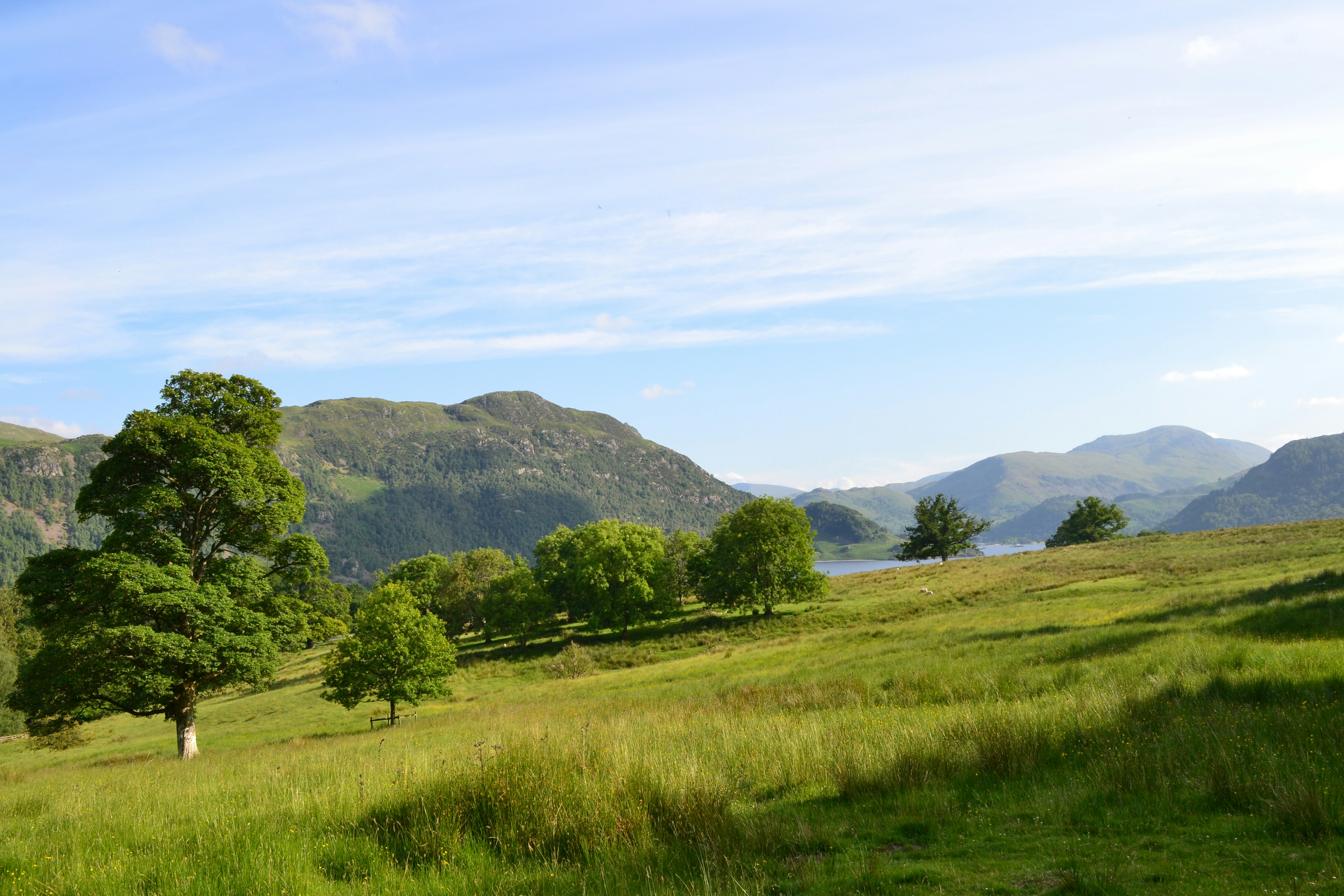 Photo by shreyadivarg