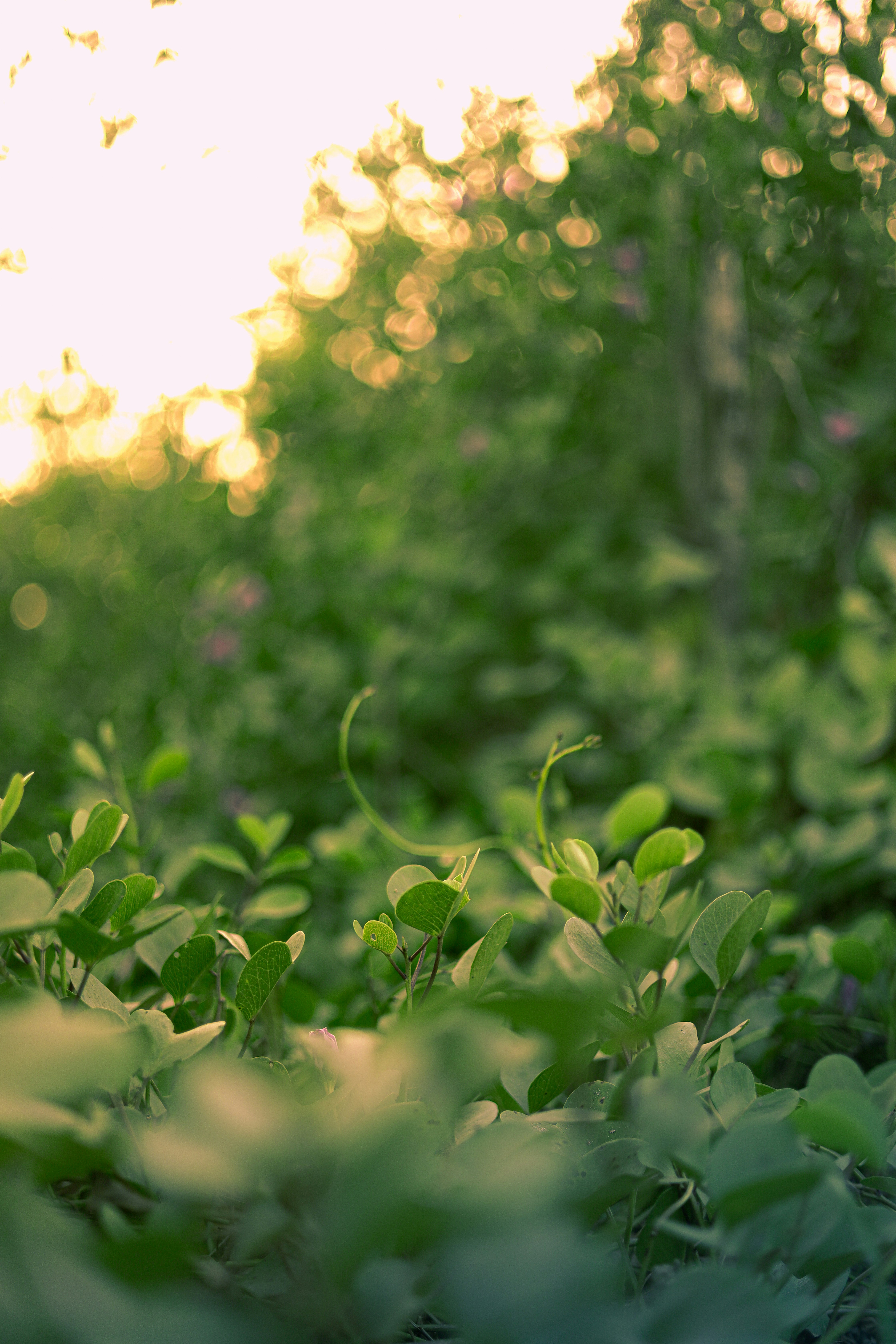 Photo by its_since1997