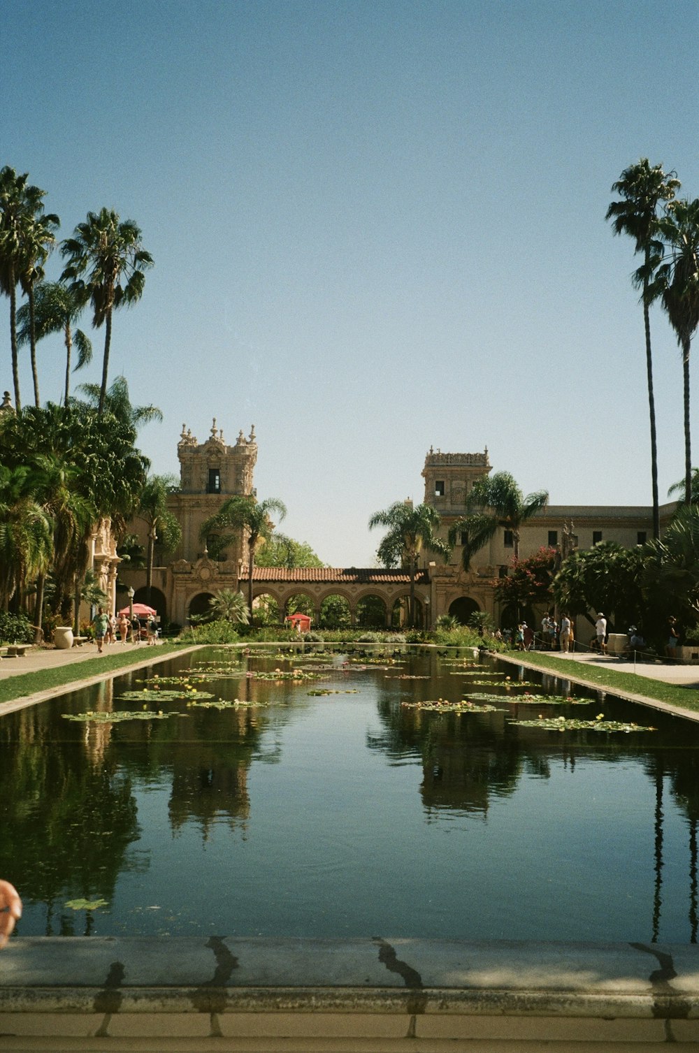 a pond surrounded by palm trees in front of a building