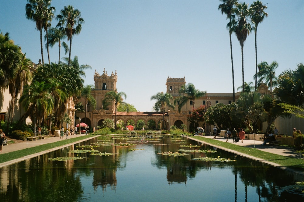 a pond surrounded by palm trees in front of a building