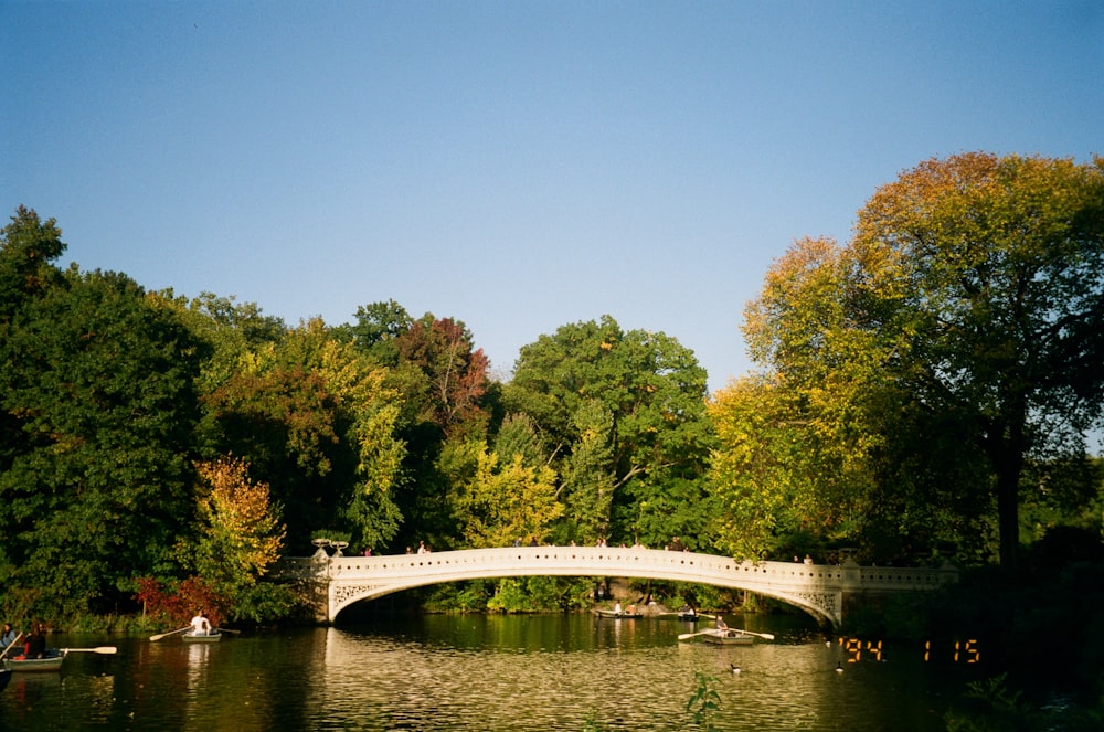 a white bridge over a river surrounded by trees