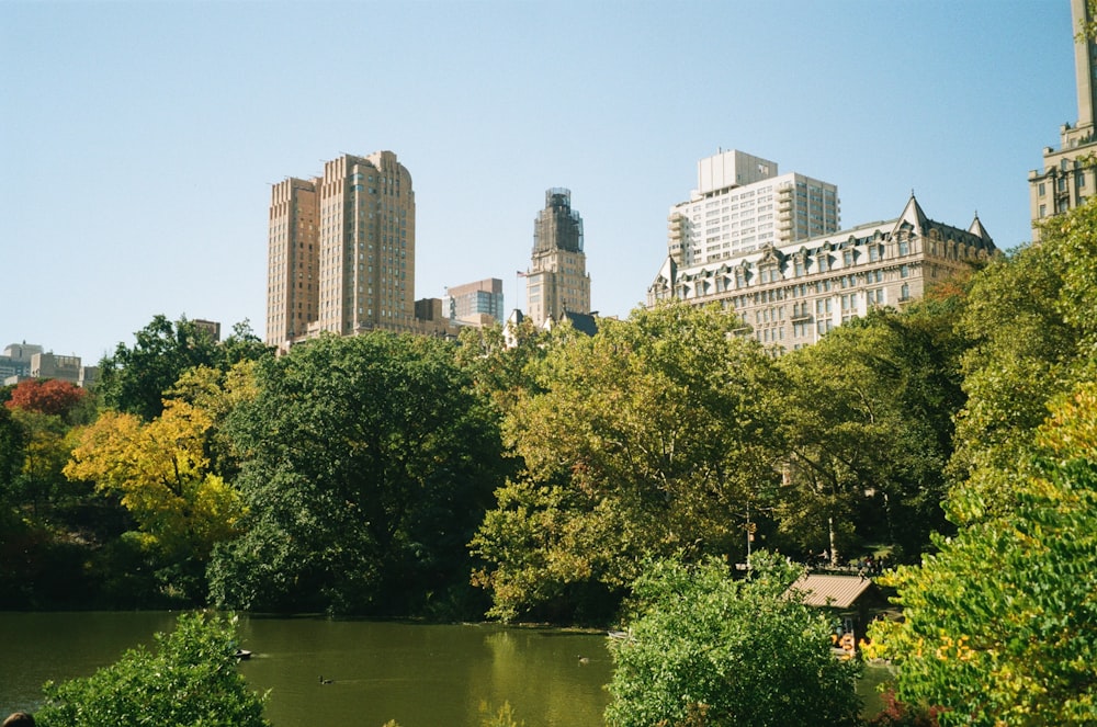 a lake surrounded by trees in a city park