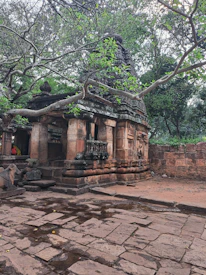 A serene temple courtyard framed by blooming flowers and ancient stone walls.