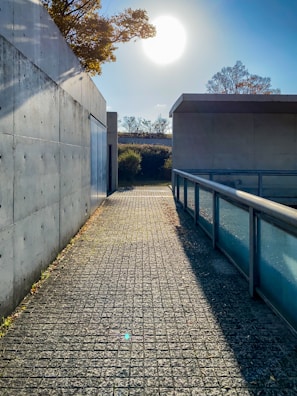 Completed concrete walkway bordered by fresh landscaping in a sunny setting.