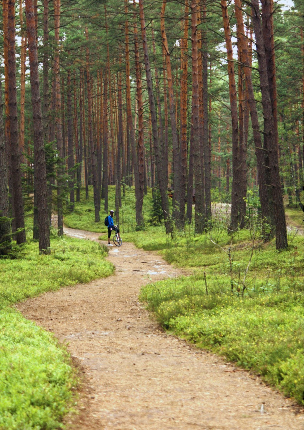 a man riding a bike down a dirt road through a forest