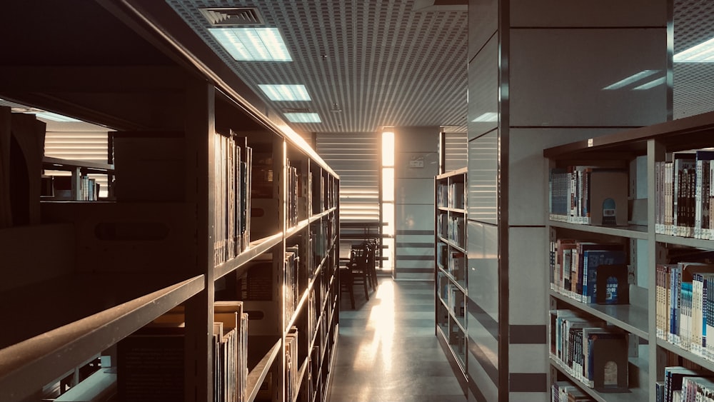 uma longa fila de estantes em uma biblioteca