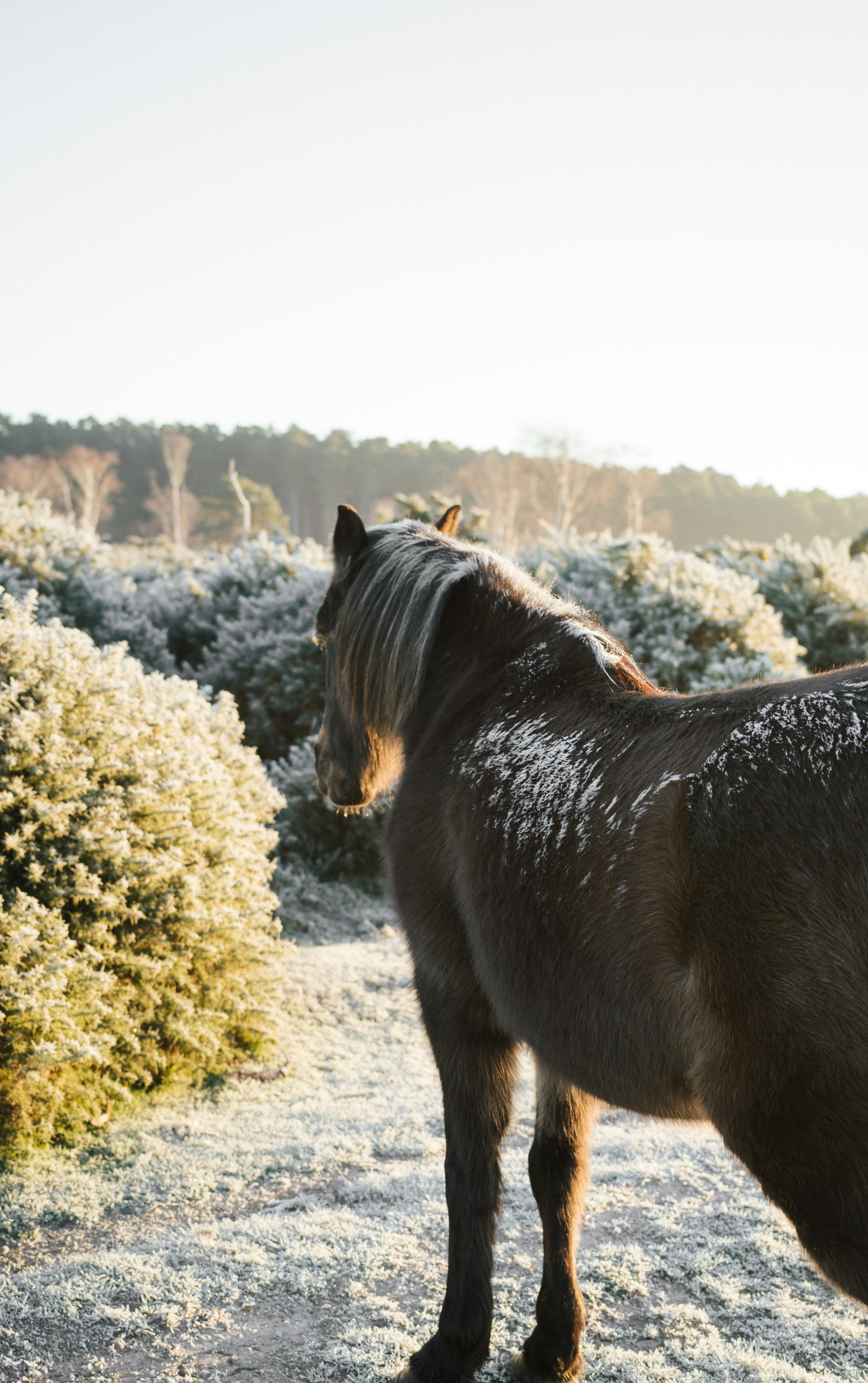 Photo by anniespratt