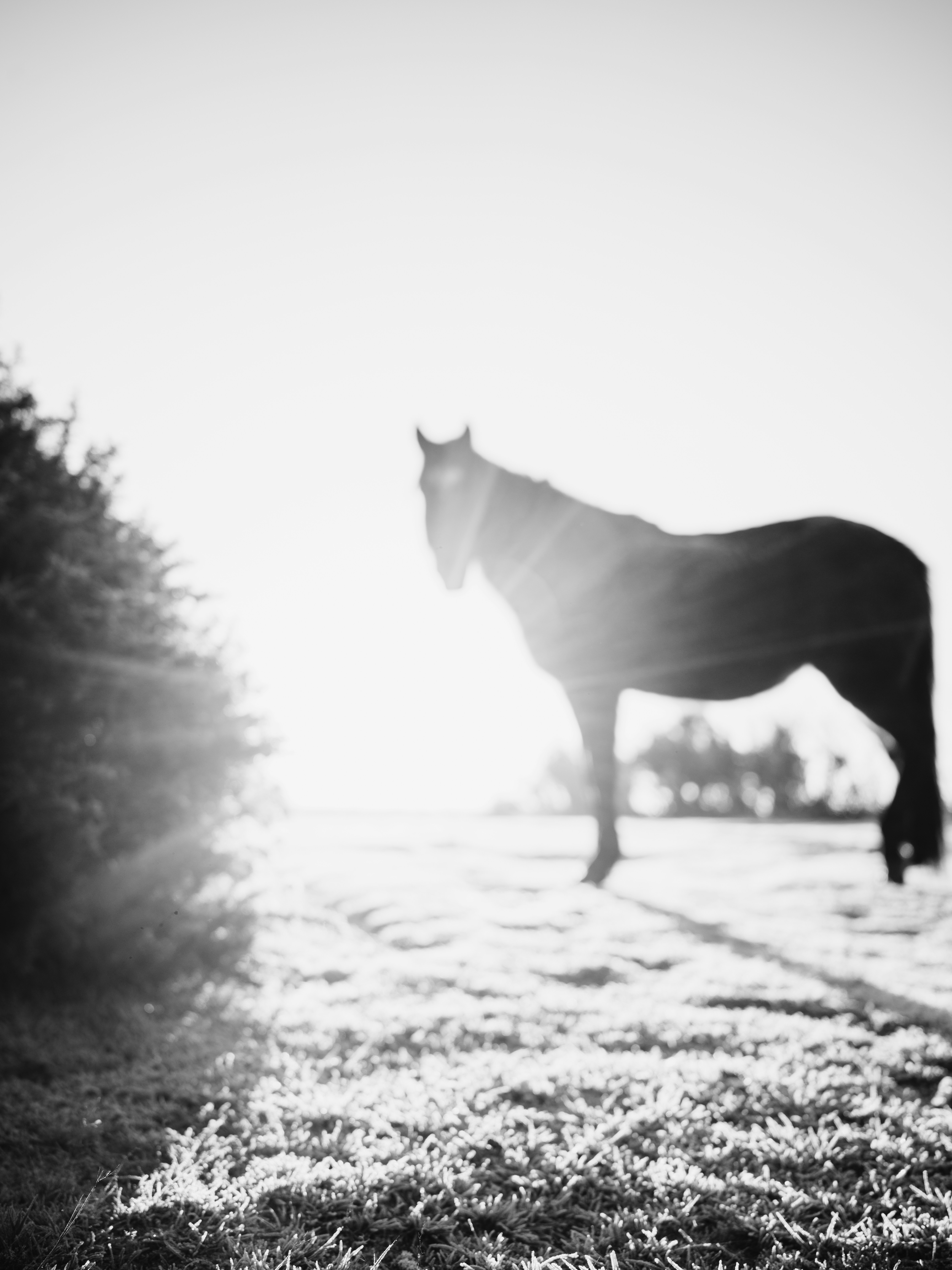 Photo by anniespratt