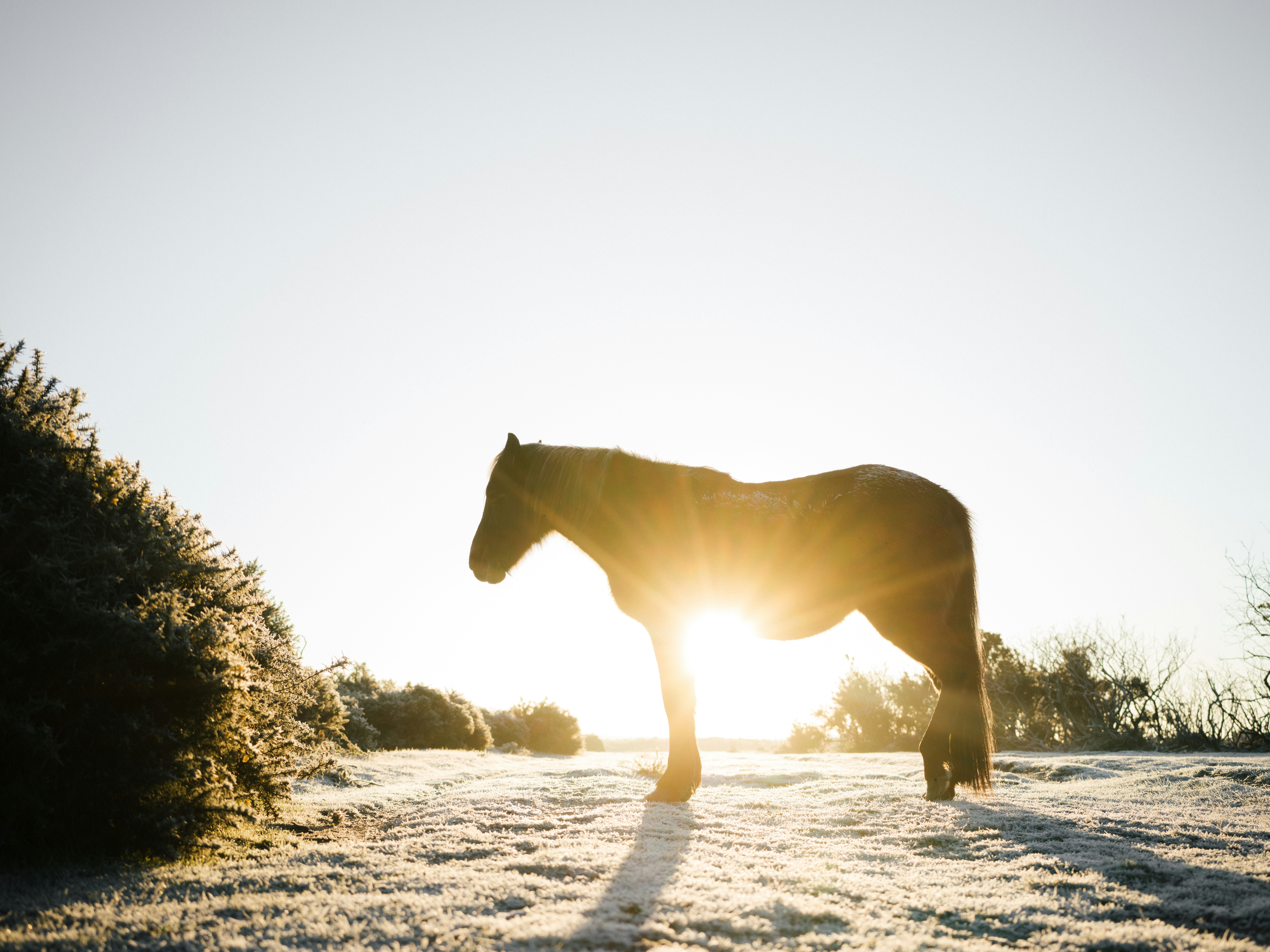 Photo by anniespratt