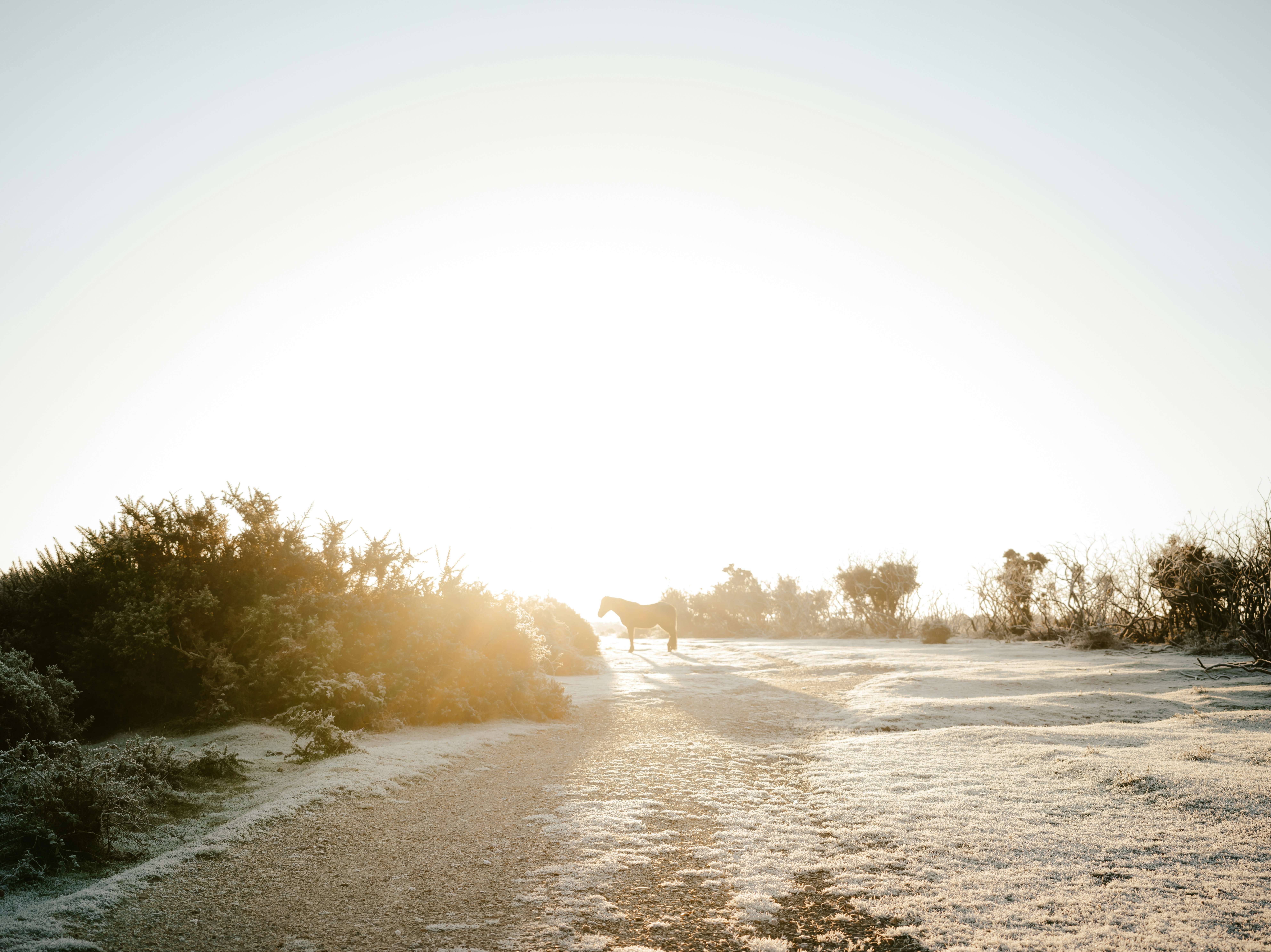 Photo by anniespratt