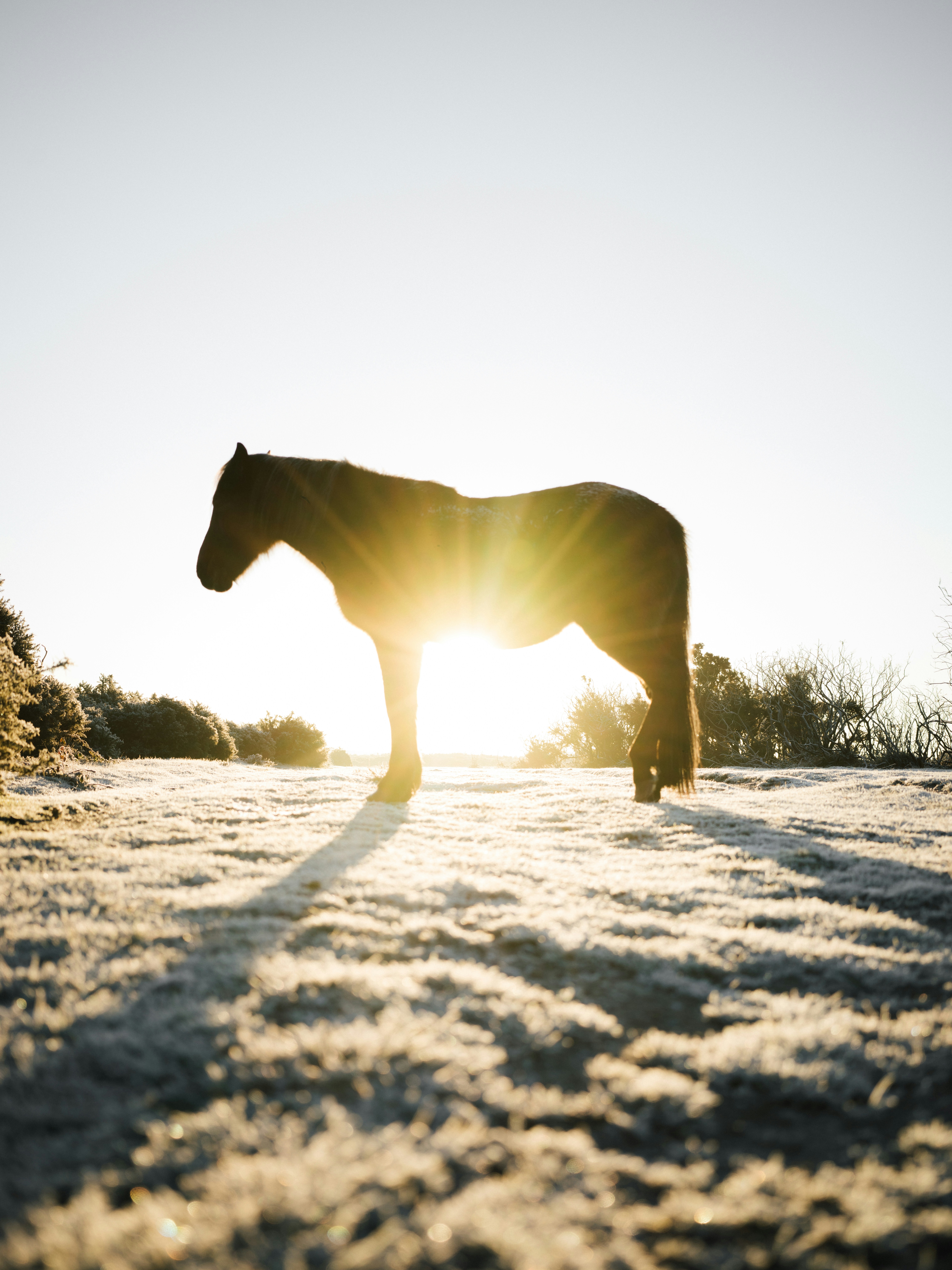 Photo by anniespratt