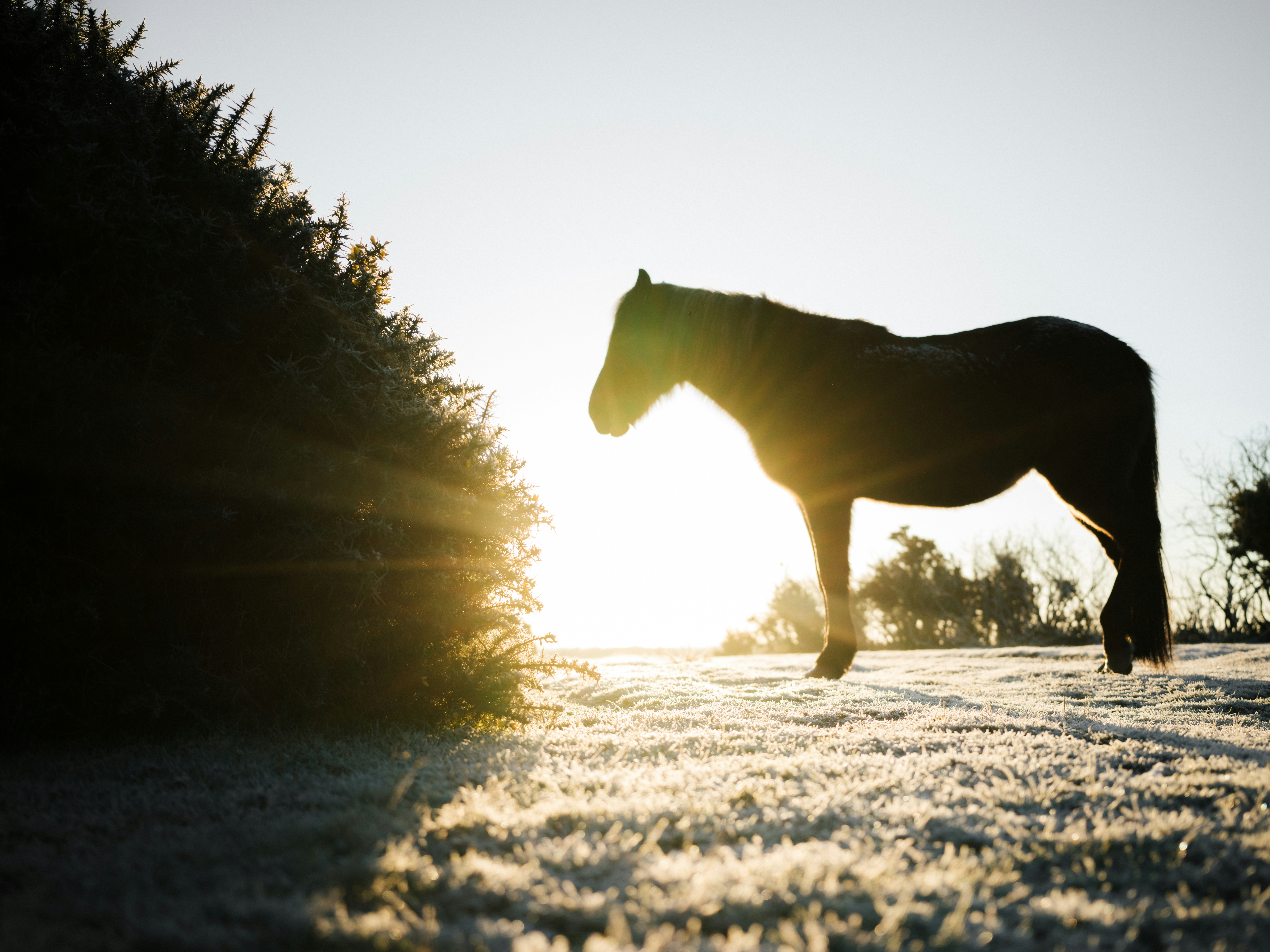 Photo by anniespratt