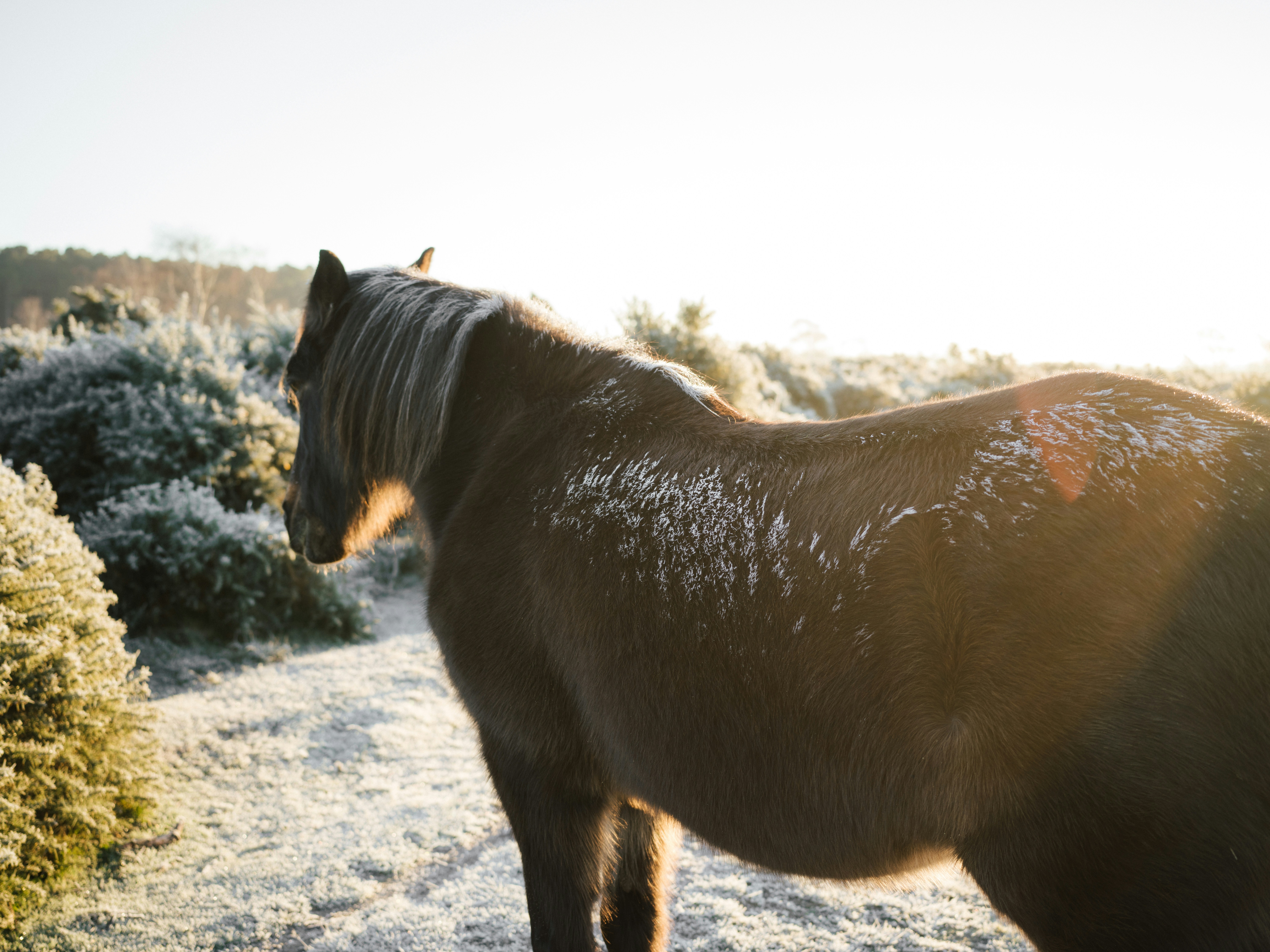 Photo by anniespratt