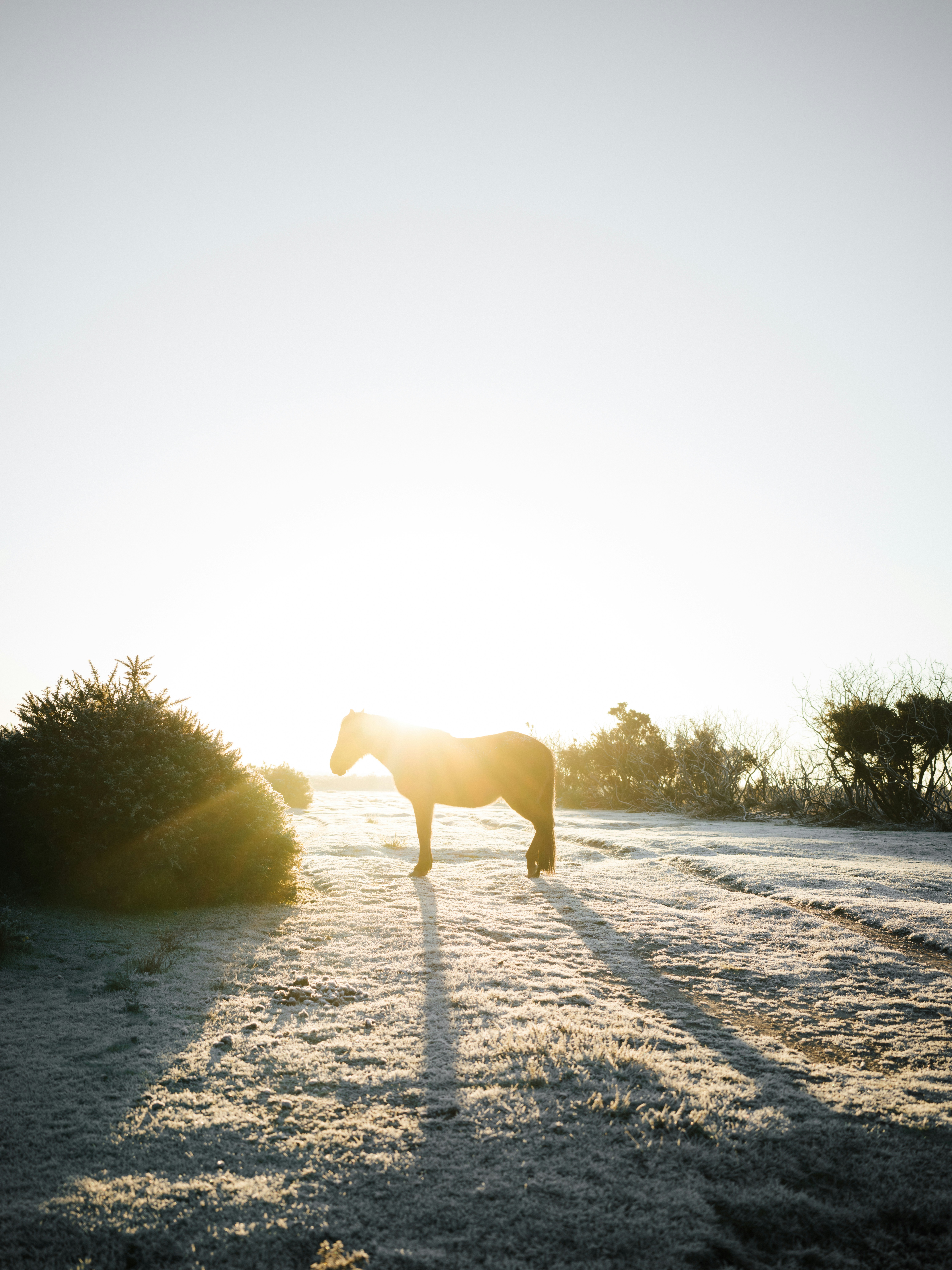 Photo by anniespratt